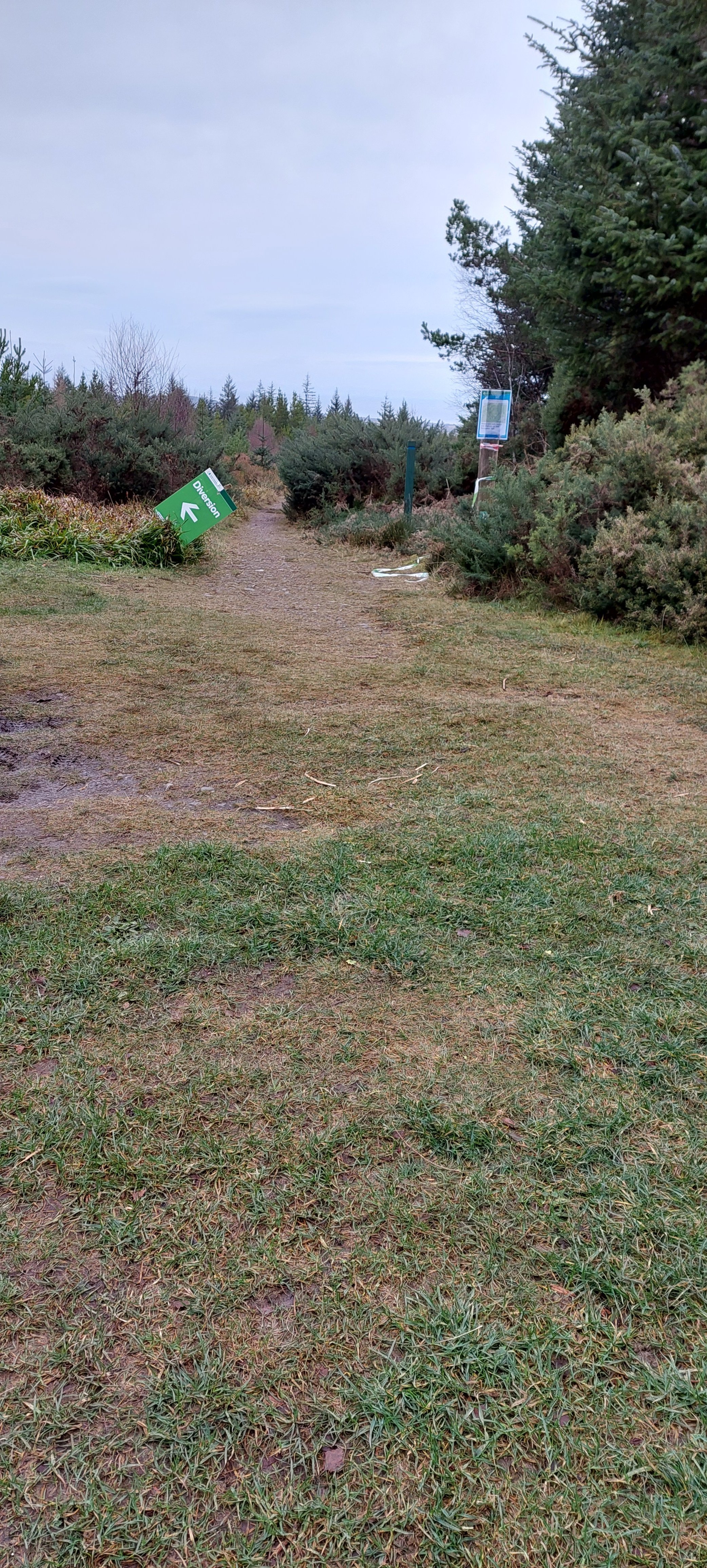 20241206_132124.jpg 20241206_132124.jpg