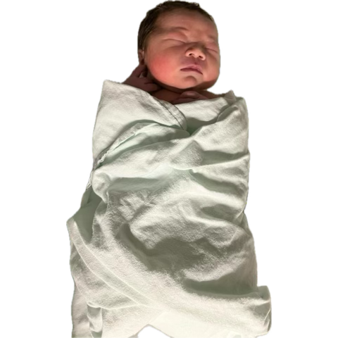 1733869279227.png 1733869279227.png