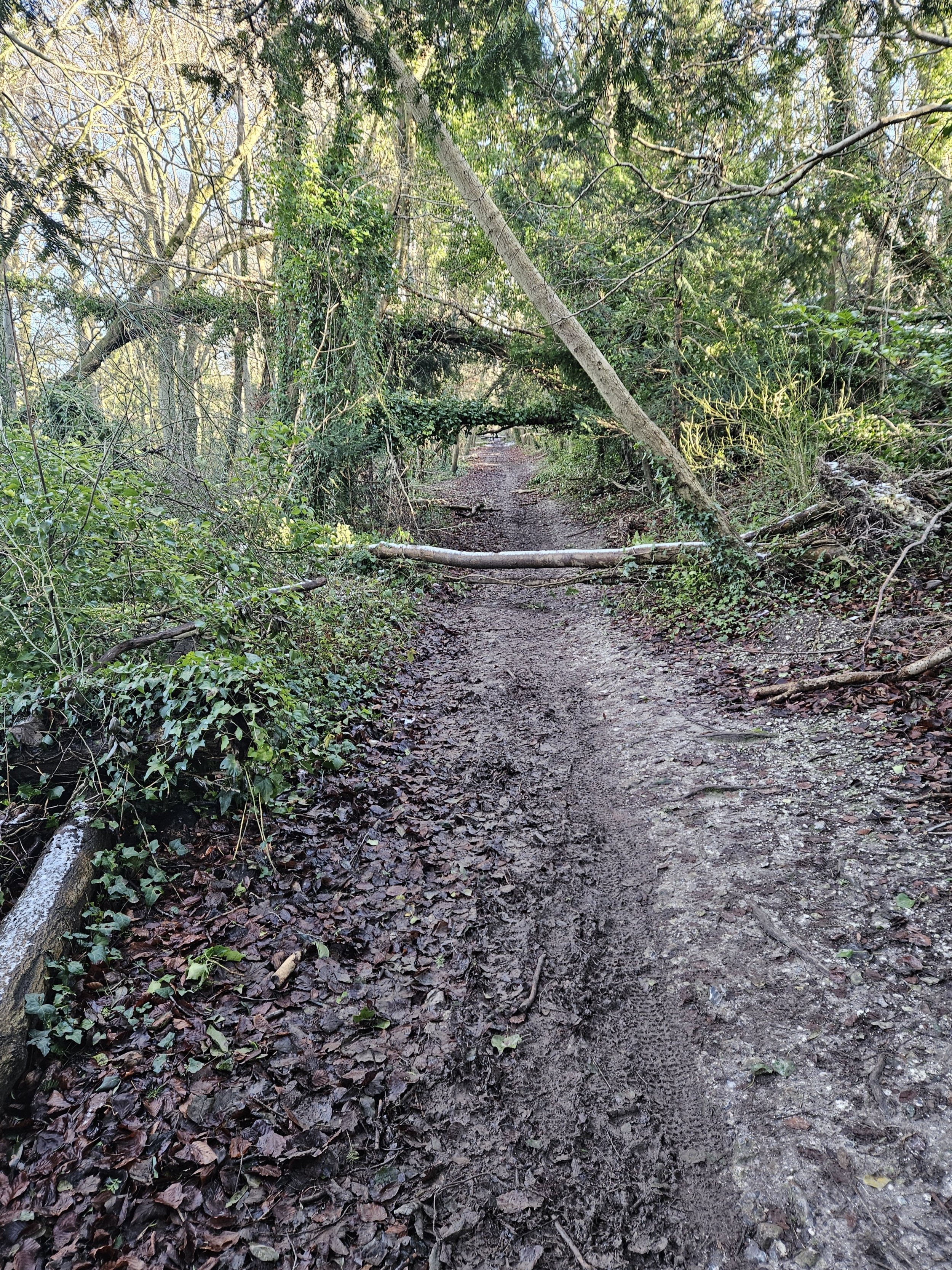 20250109_135249.jpg 20250109_135249.jpg