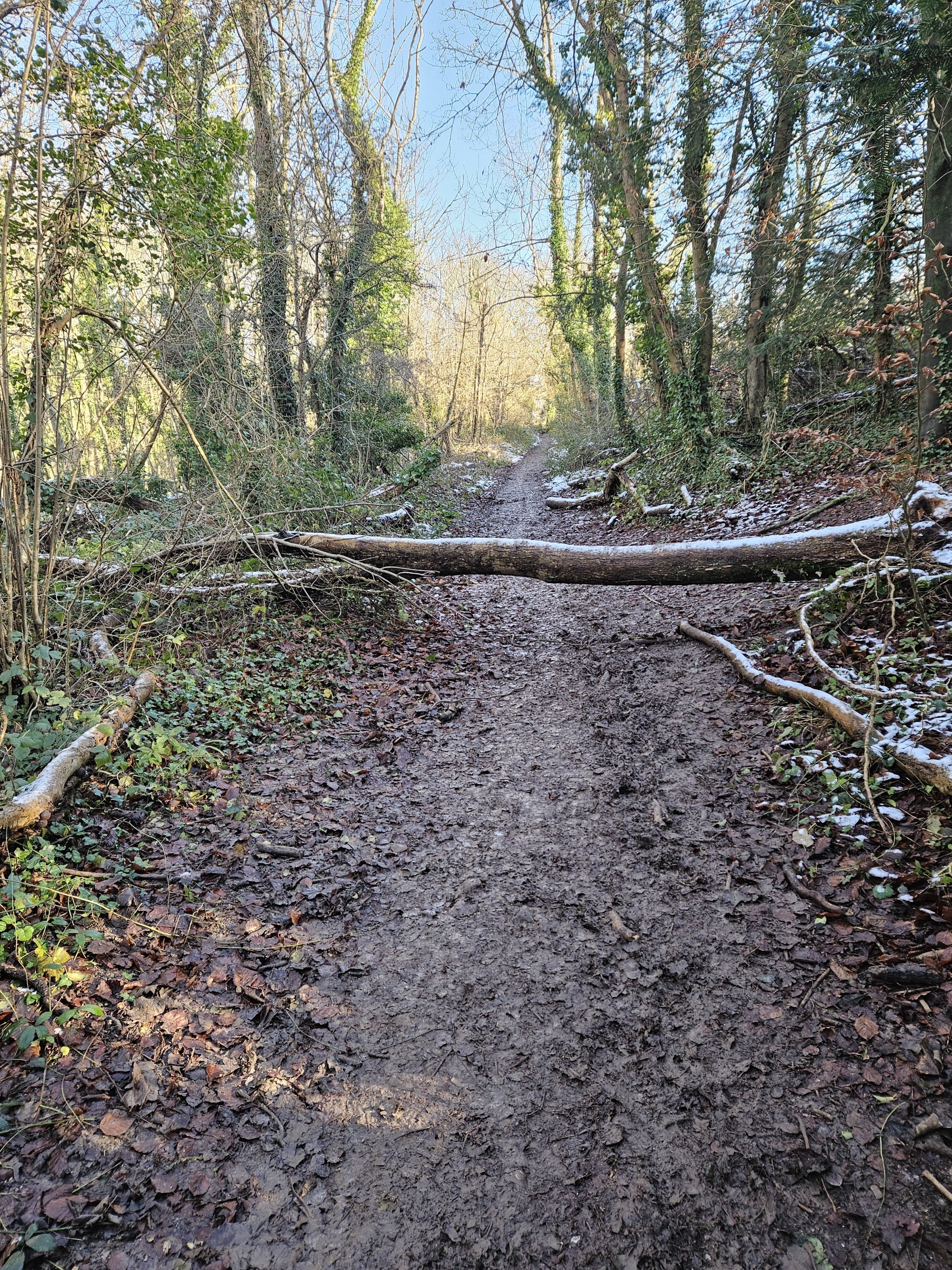 20250109_135456.jpg 20250109_135456.jpg