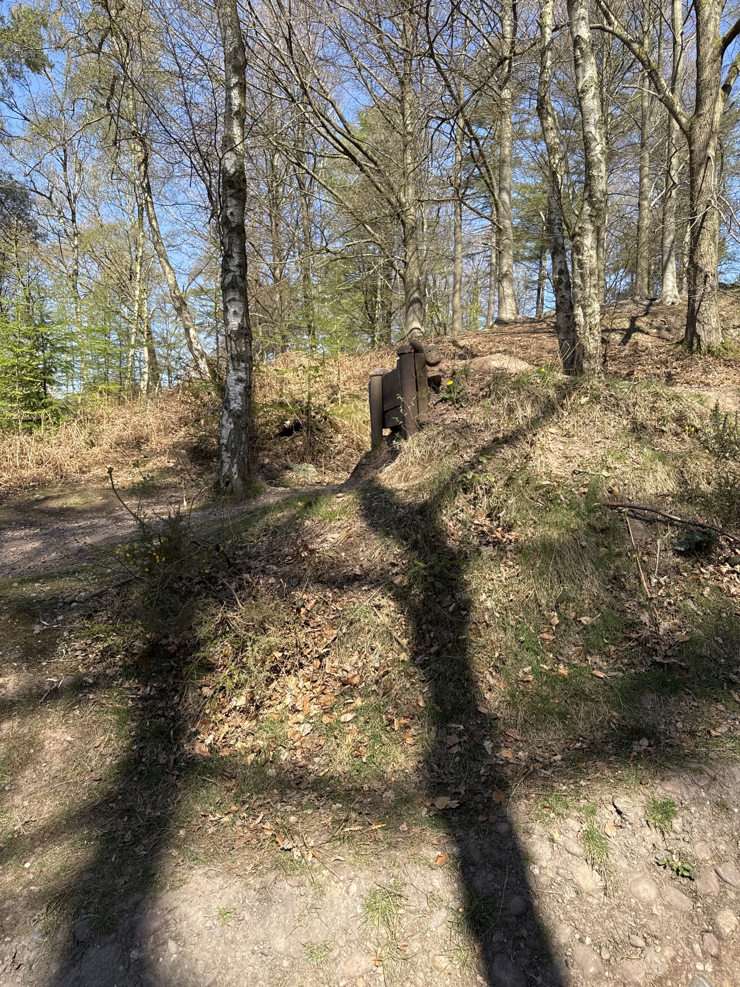 IMG_0580.jpeg