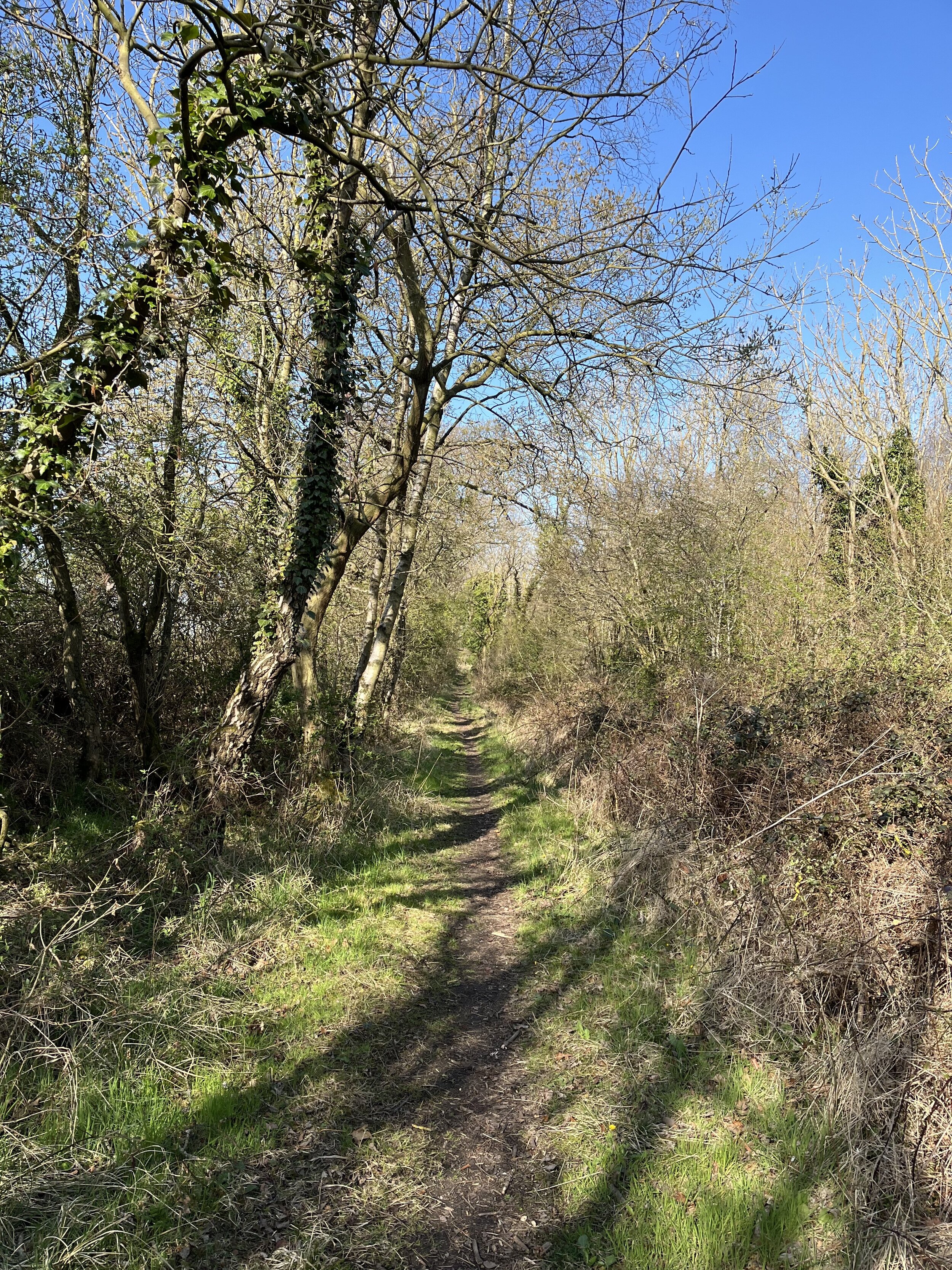 IMG_9740.jpeg IMG_9740.jpeg