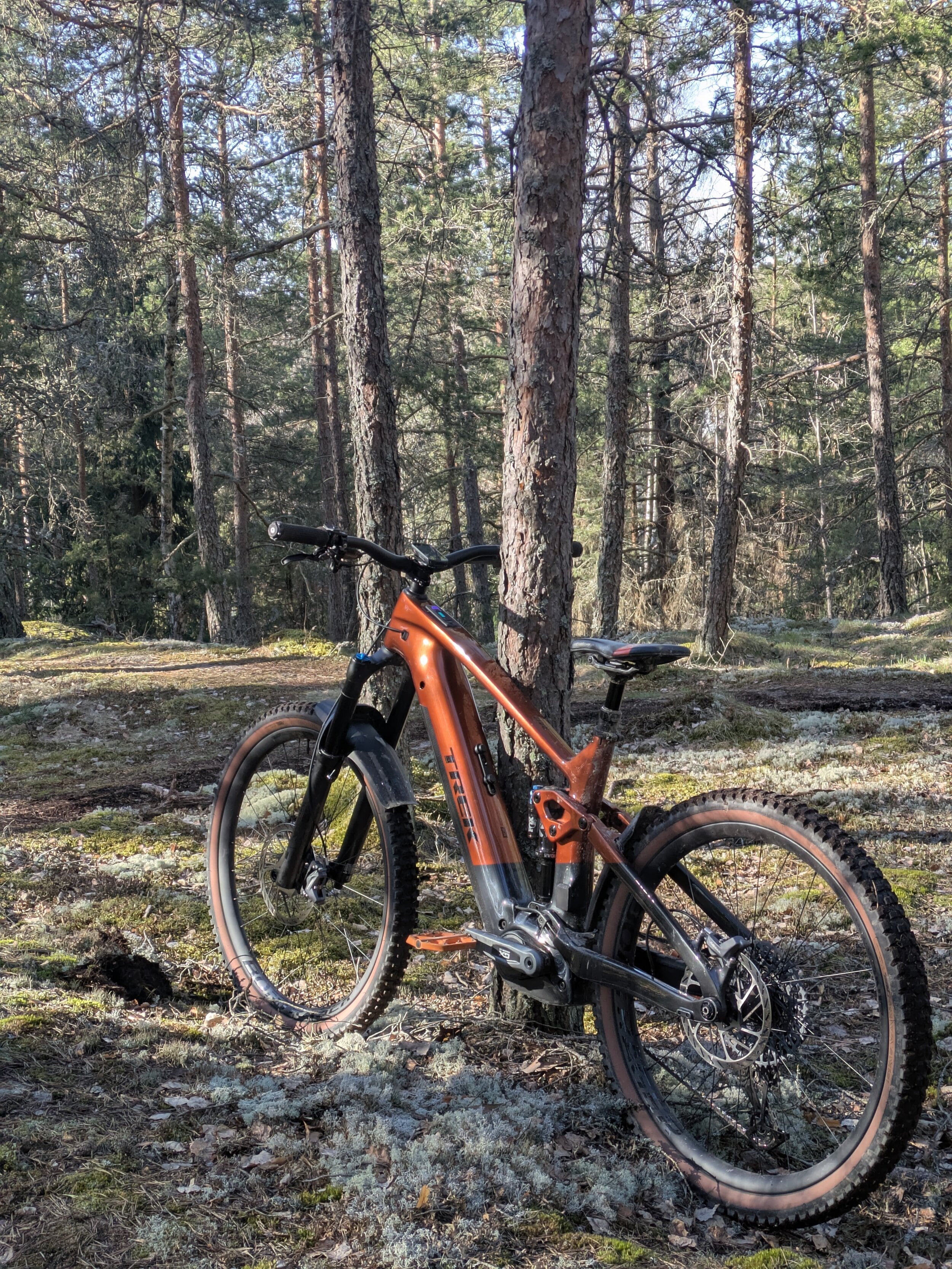 Trek RAIL+ 9.8 GX AXS.jpg