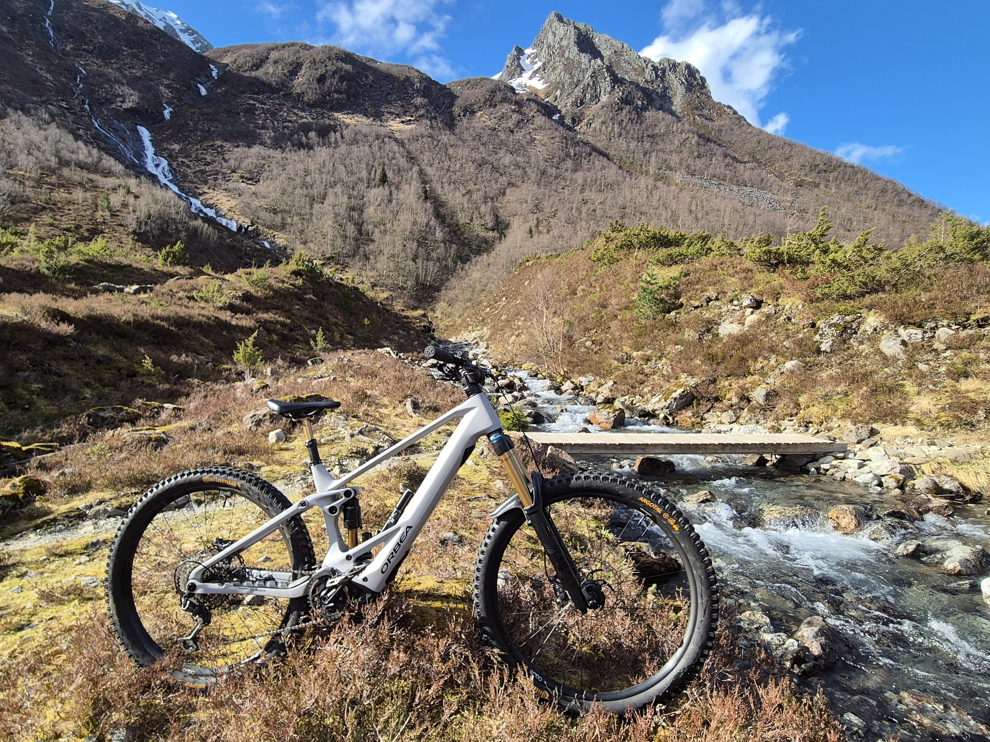 Orbea Wild 2023.jpg