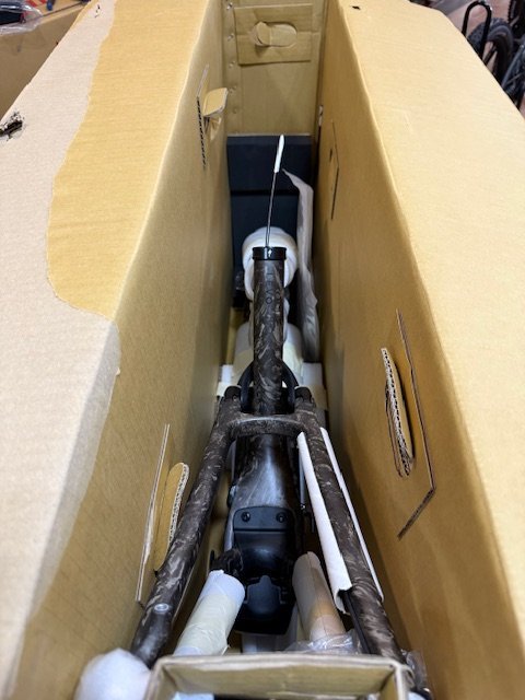 image6.jpeg