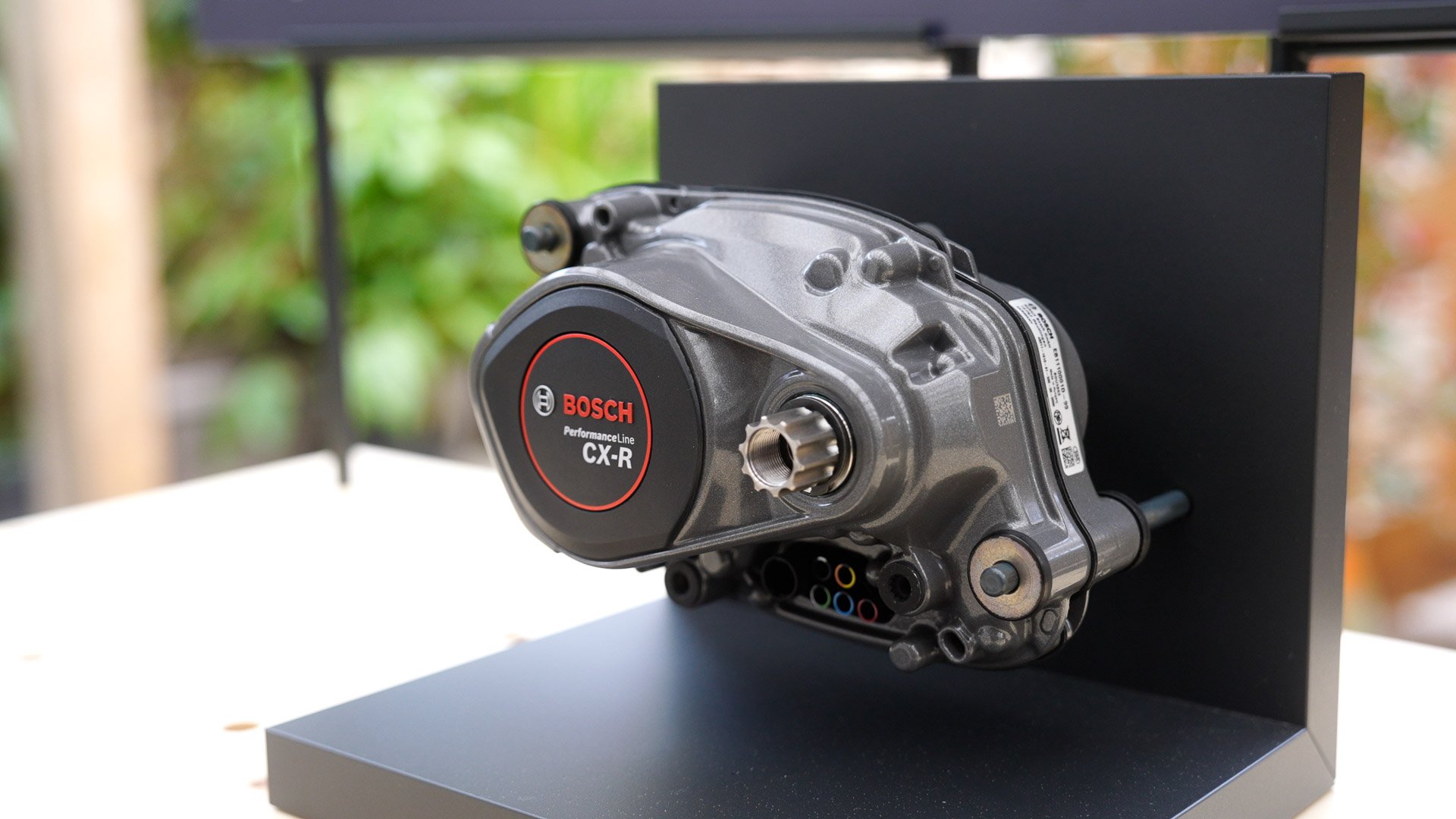 BOSCH Race.jpg