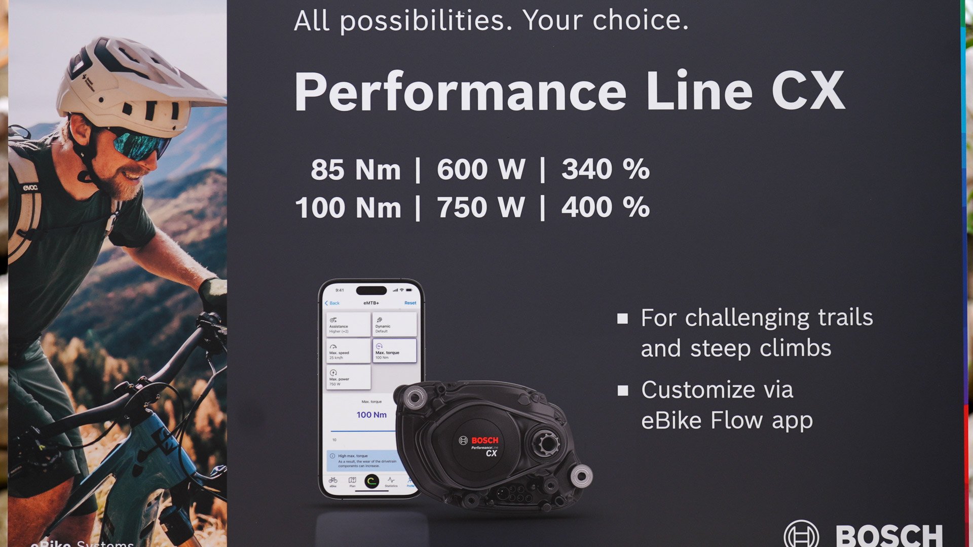 BOSCH graphic.jpg