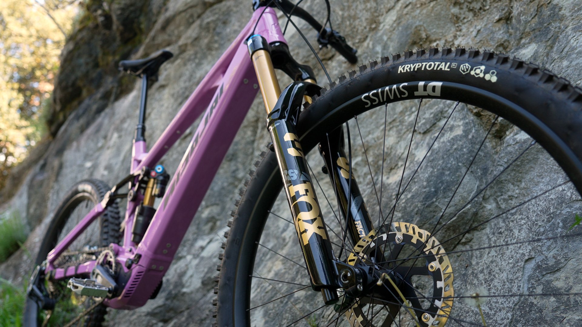NICOLAI S18 fork.jpg