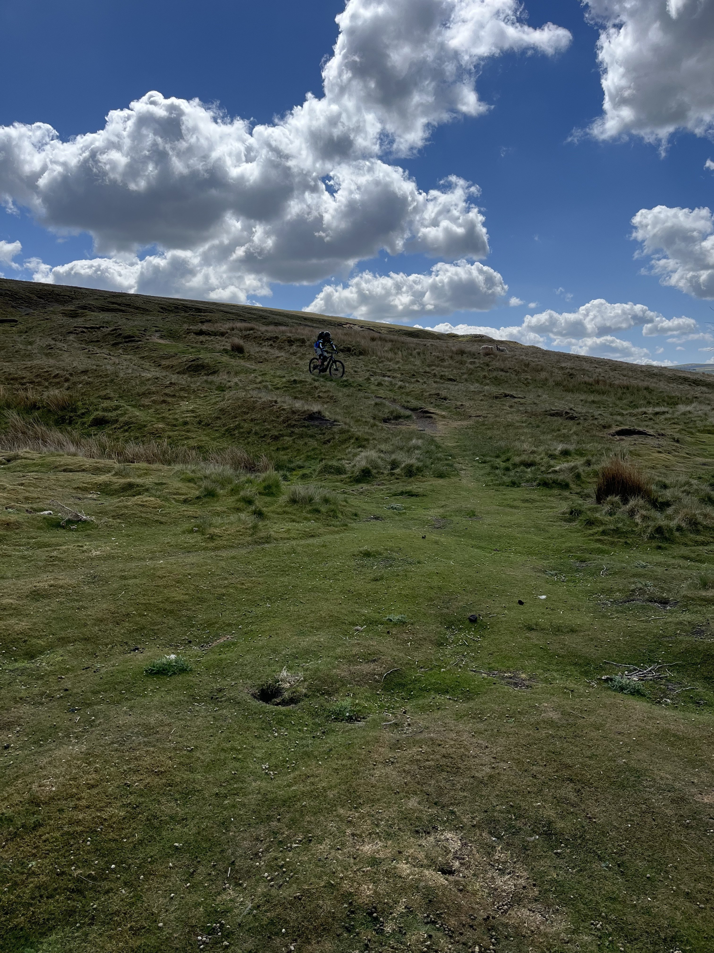 IMG_0066.jpeg