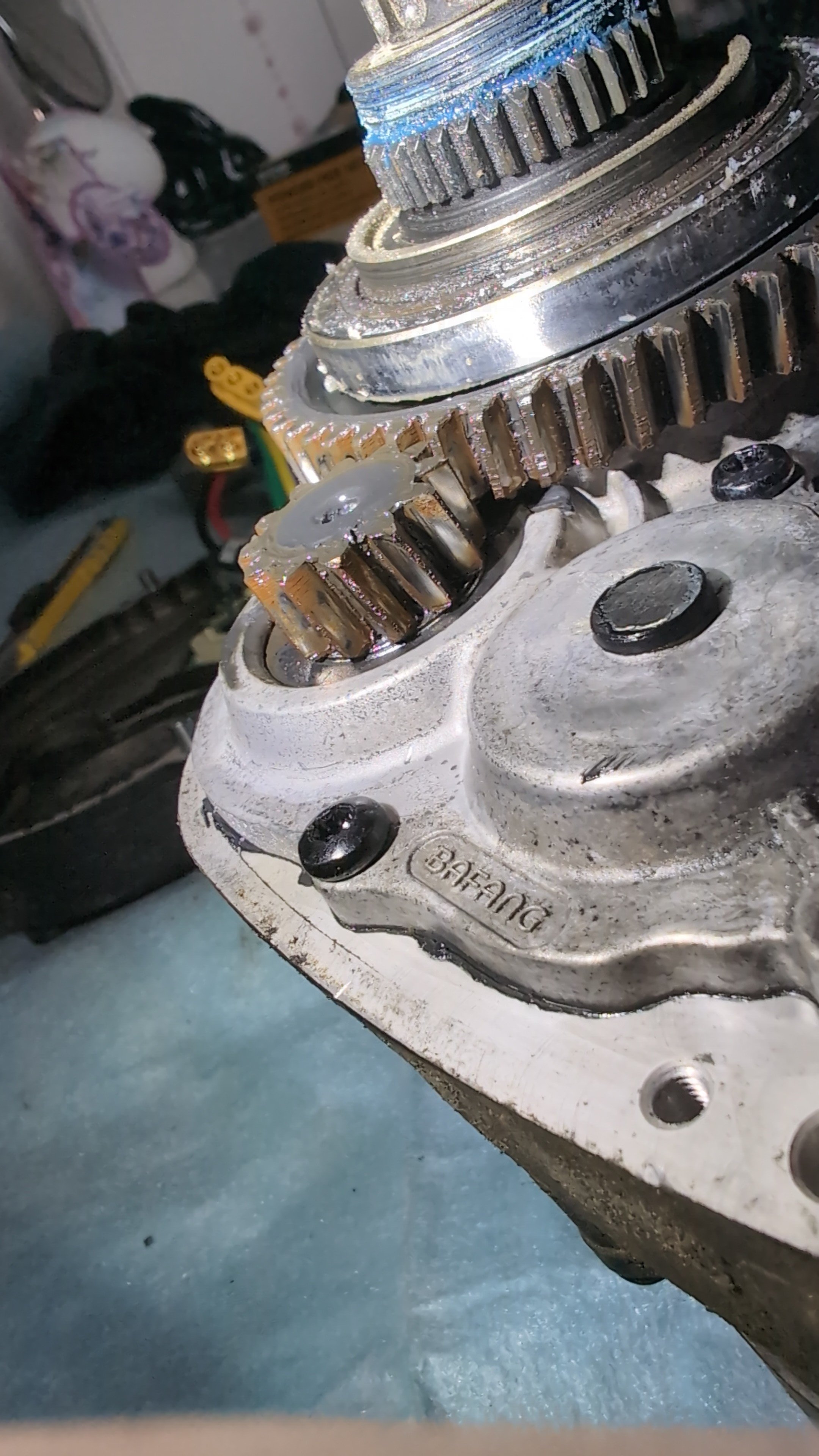 IMG-20250622-WA0013.jpeg