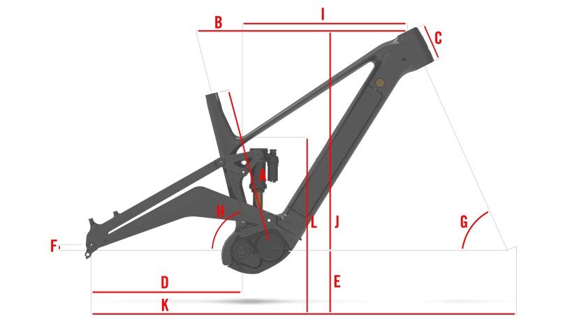 rex geo 02.jpg