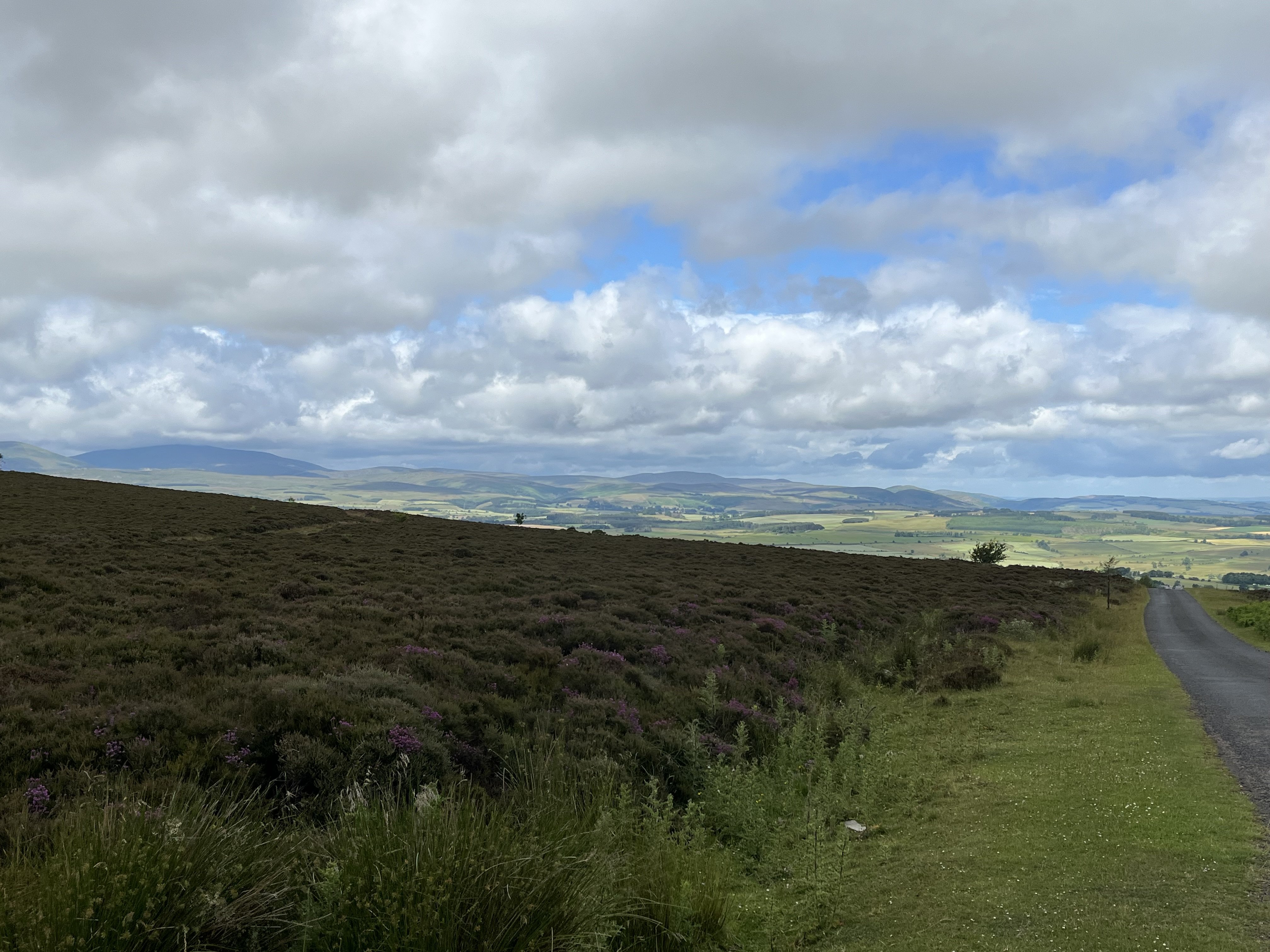 IMG_0230.jpeg