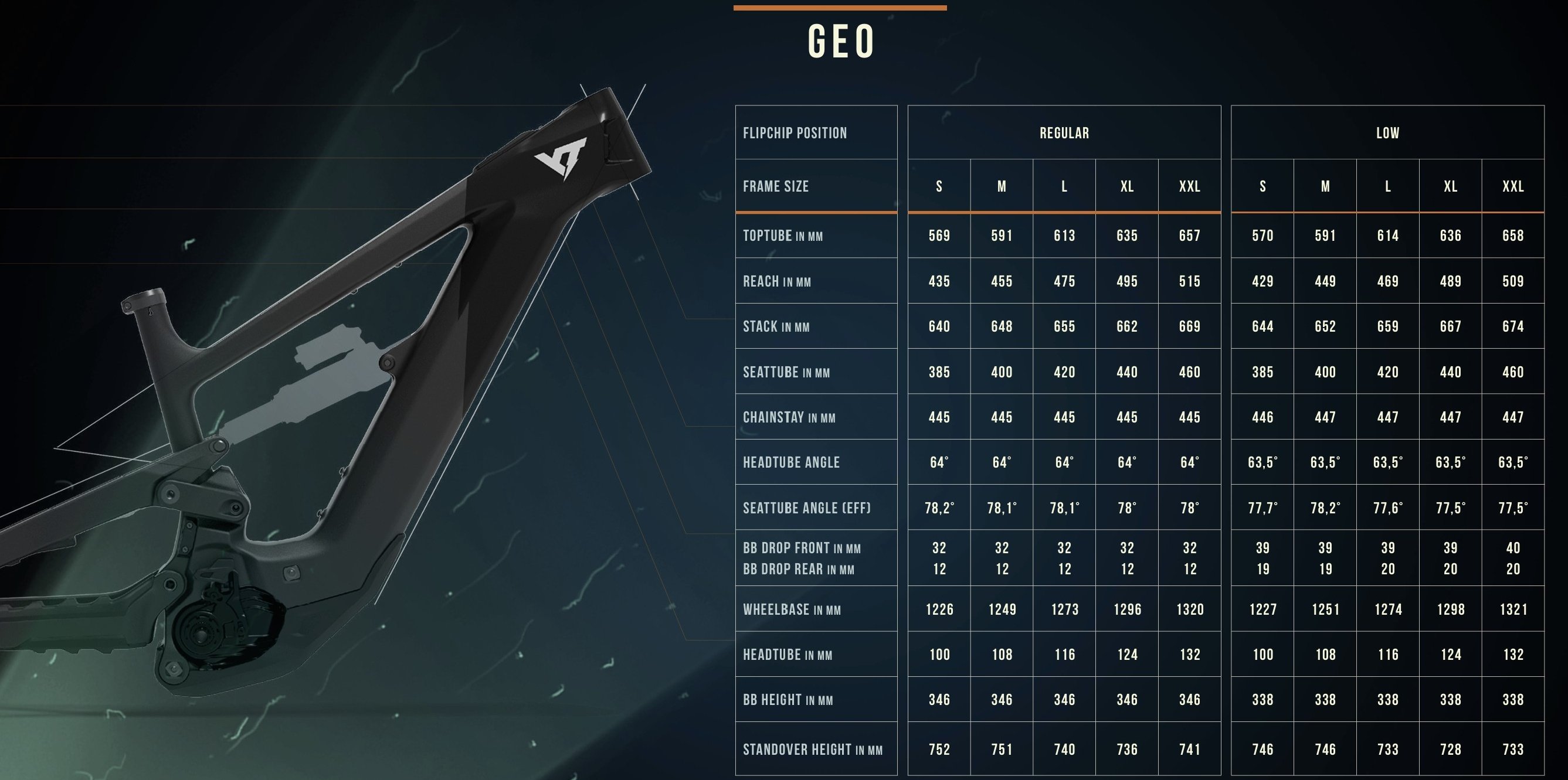 c03_geo_decoy.jpg