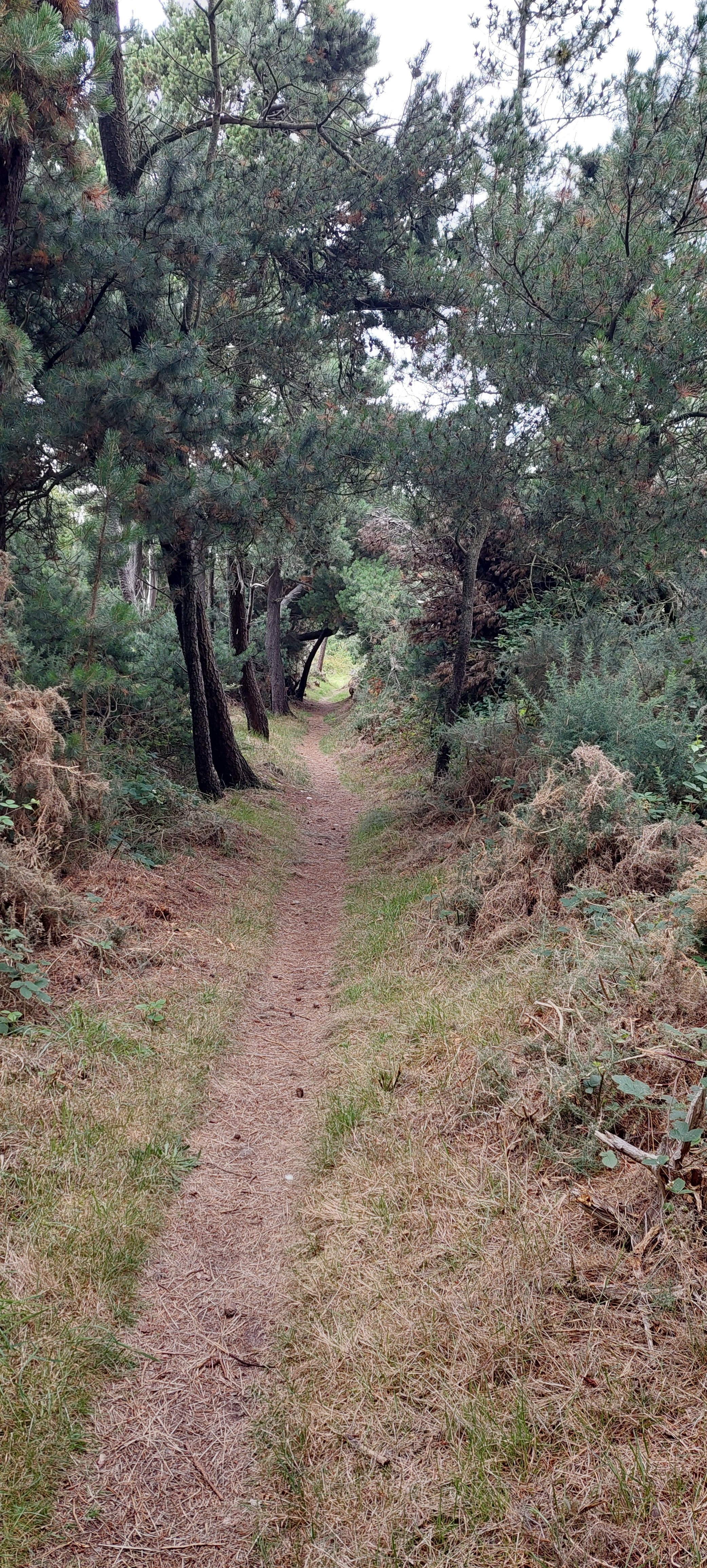20250801_105958.jpg