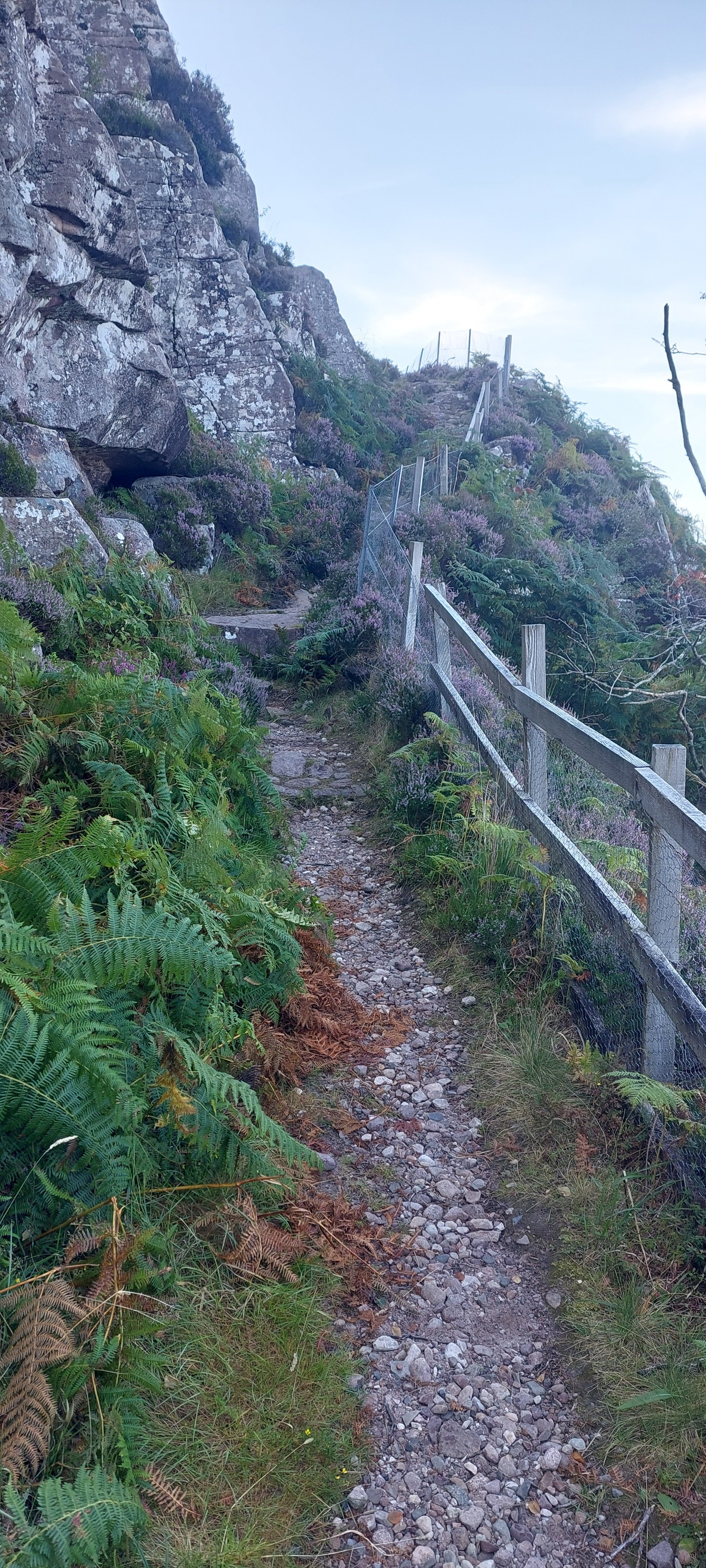 20250818_094858.jpg