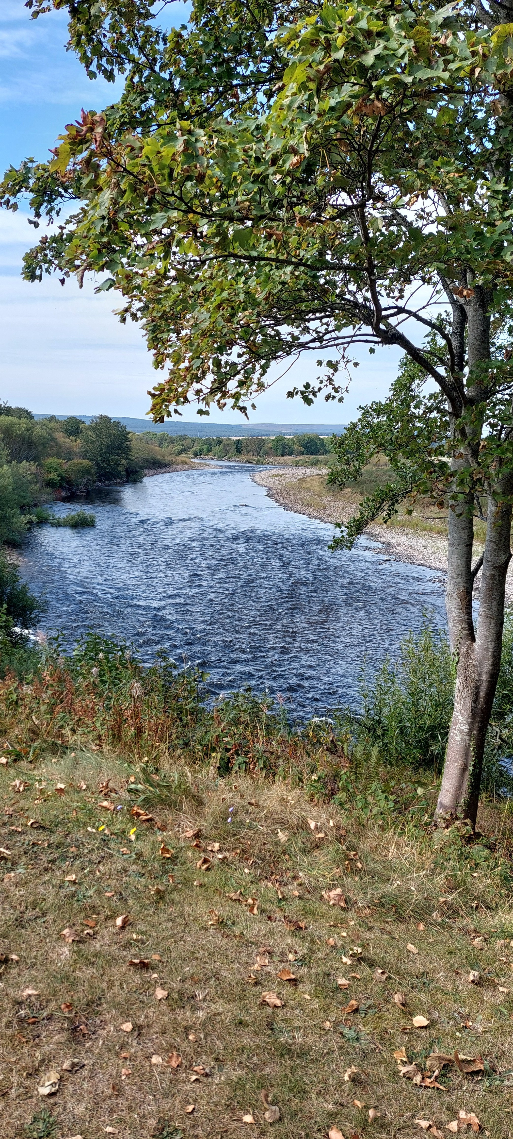 20250825_110719.jpg