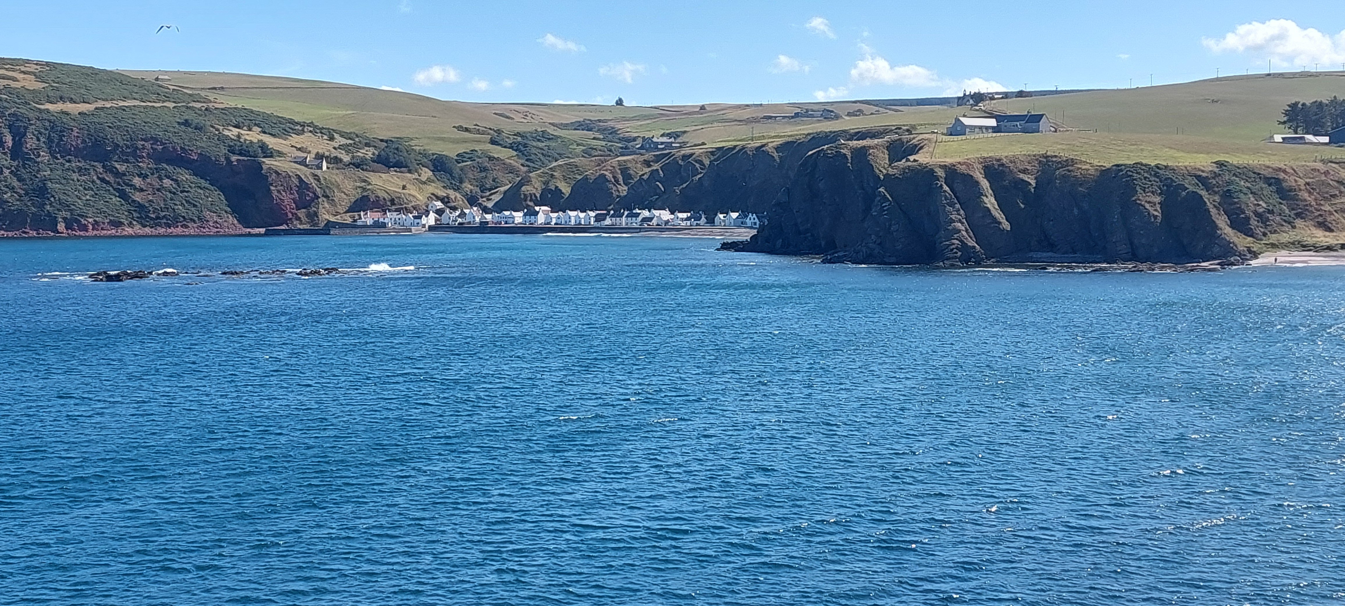 20250827_134640.jpg