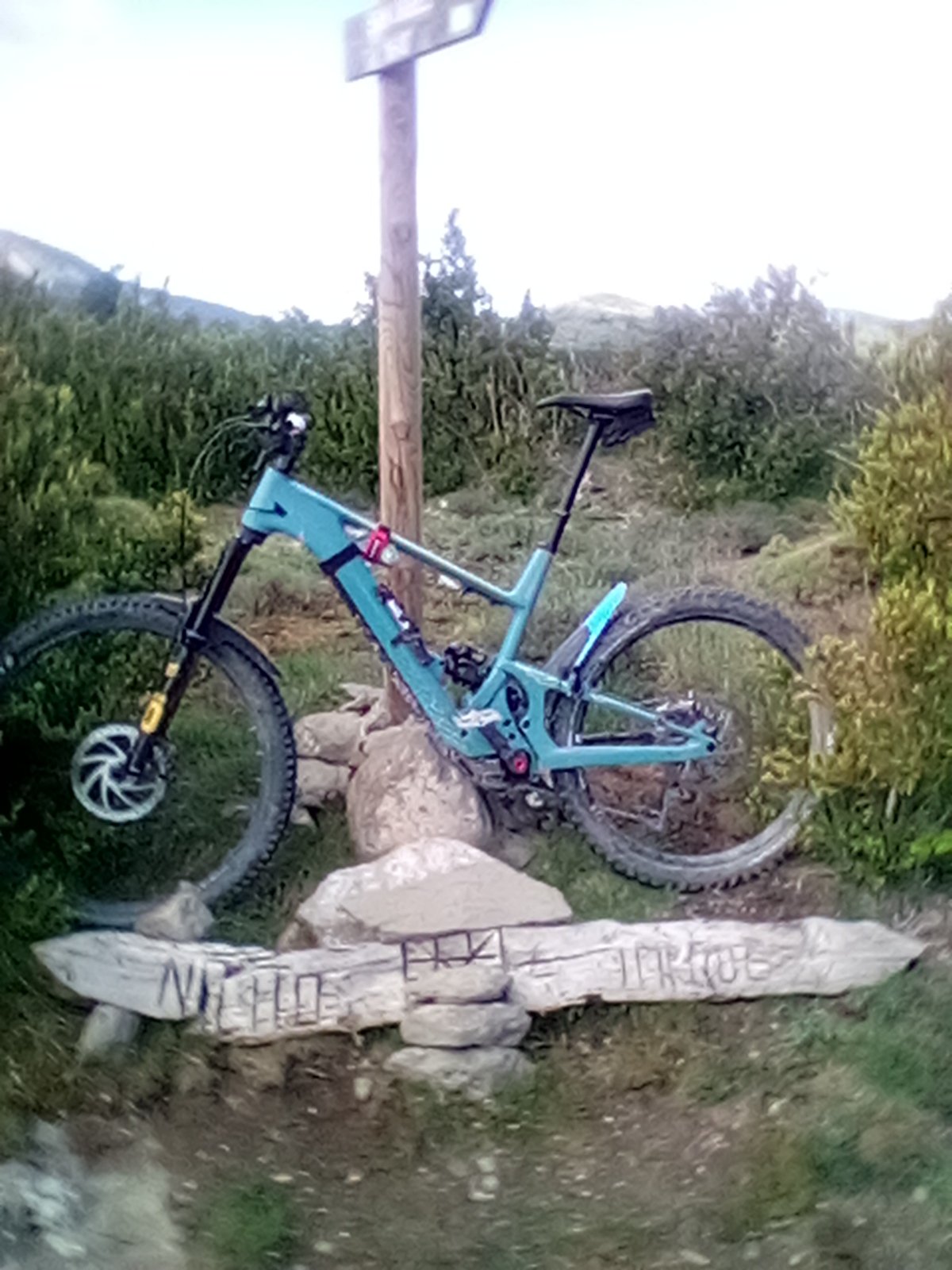 IMG_0106.jpg