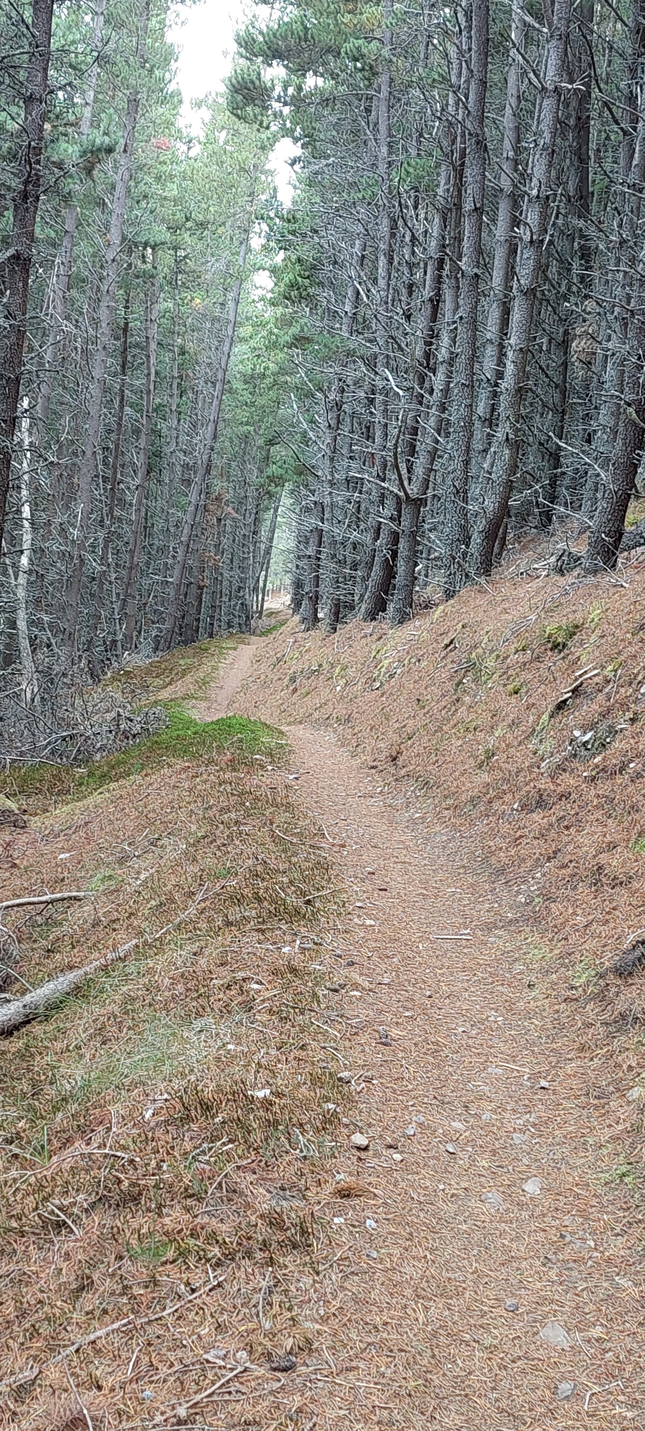 20250912_113952.jpg