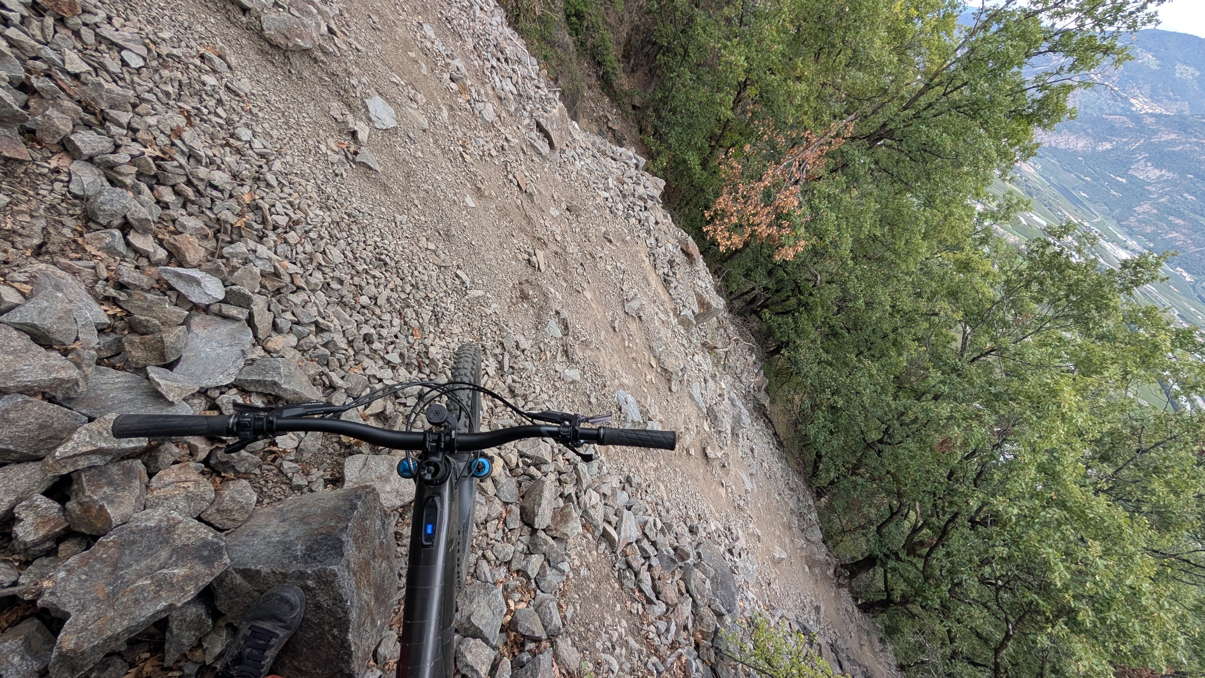 PXL_20250912_162824000.jpg PXL_20250912_162824000.jpg