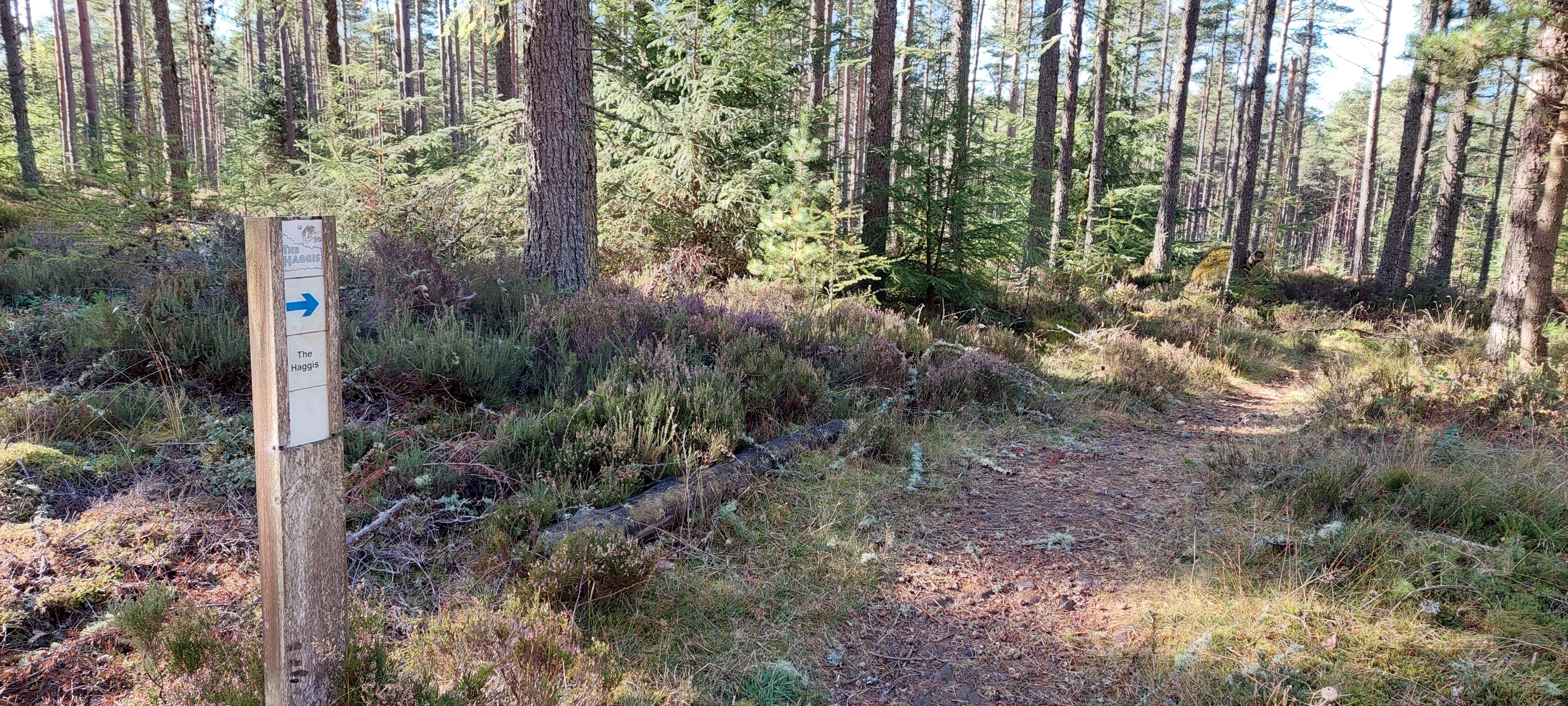 20251006_120927.jpg