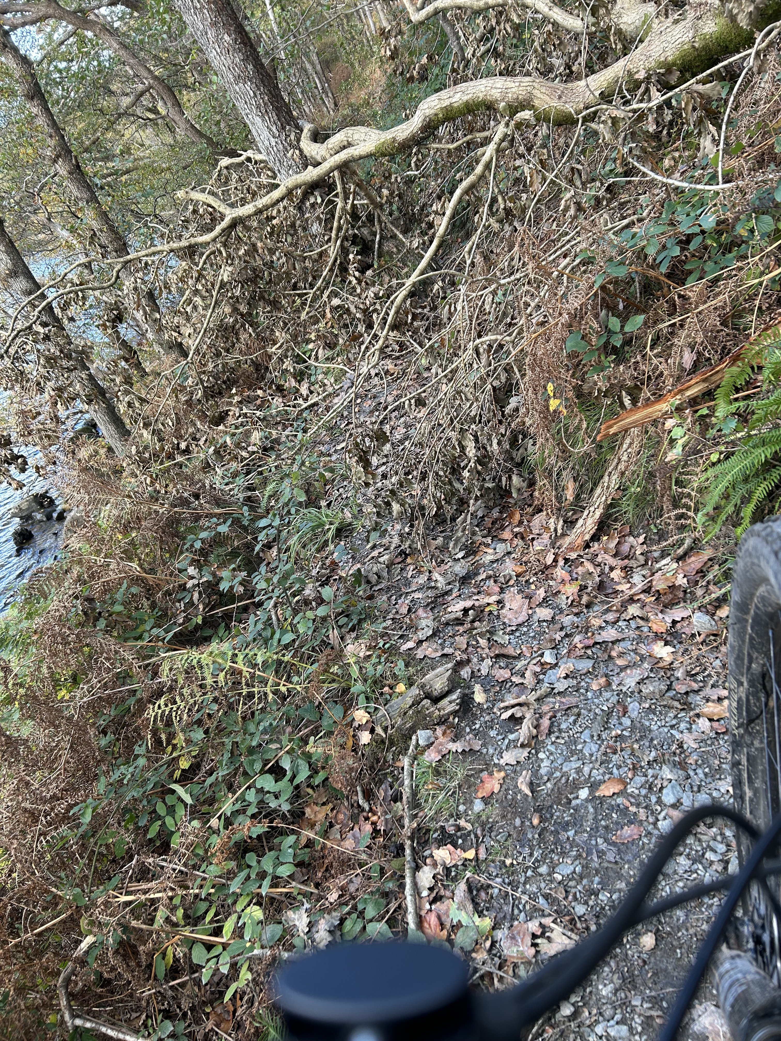 IMG_3421.jpeg IMG_3421.jpeg