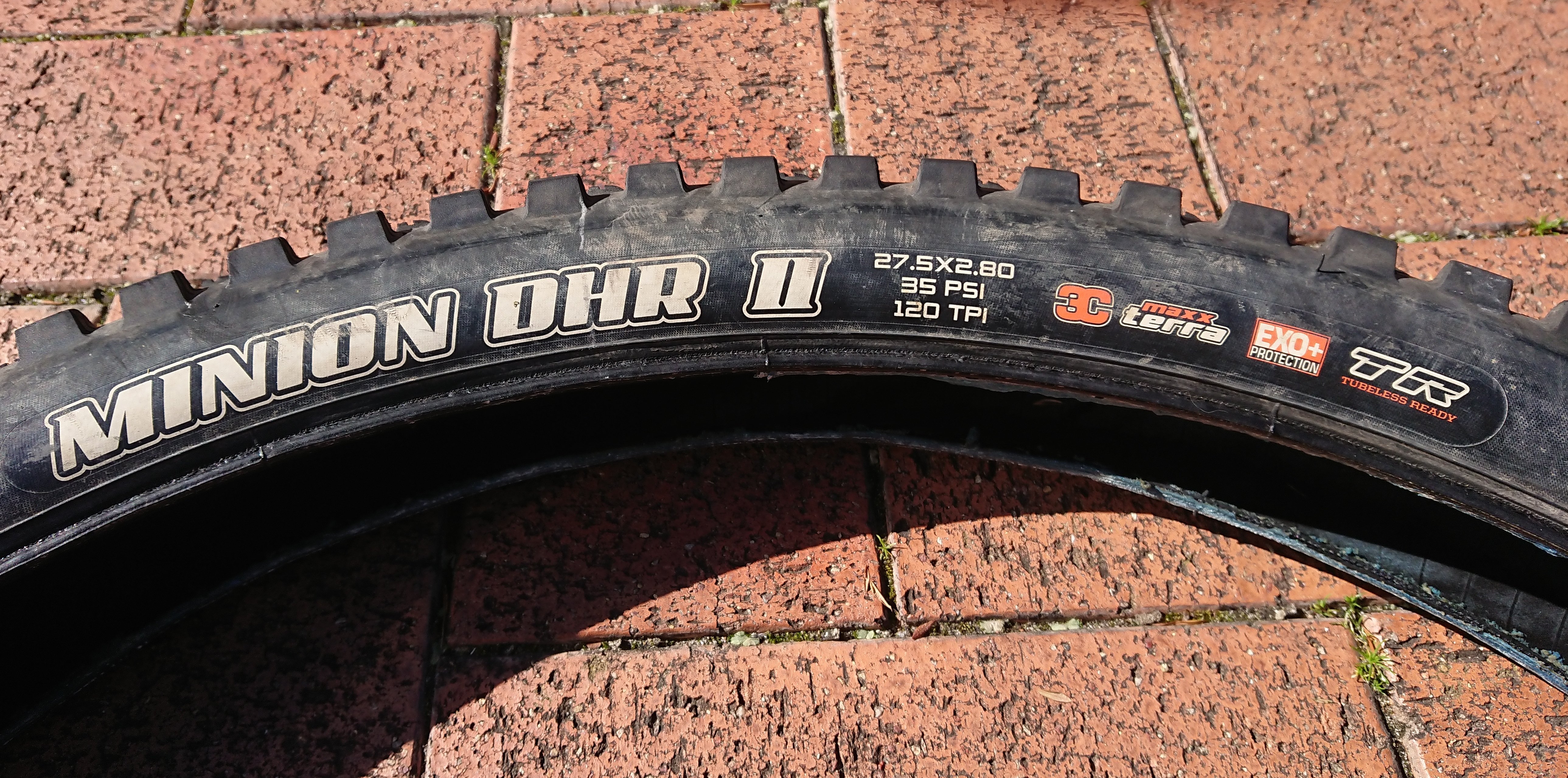 Focus Rear Tyre (1).JPG Focus Rear Tyre (1).JPG