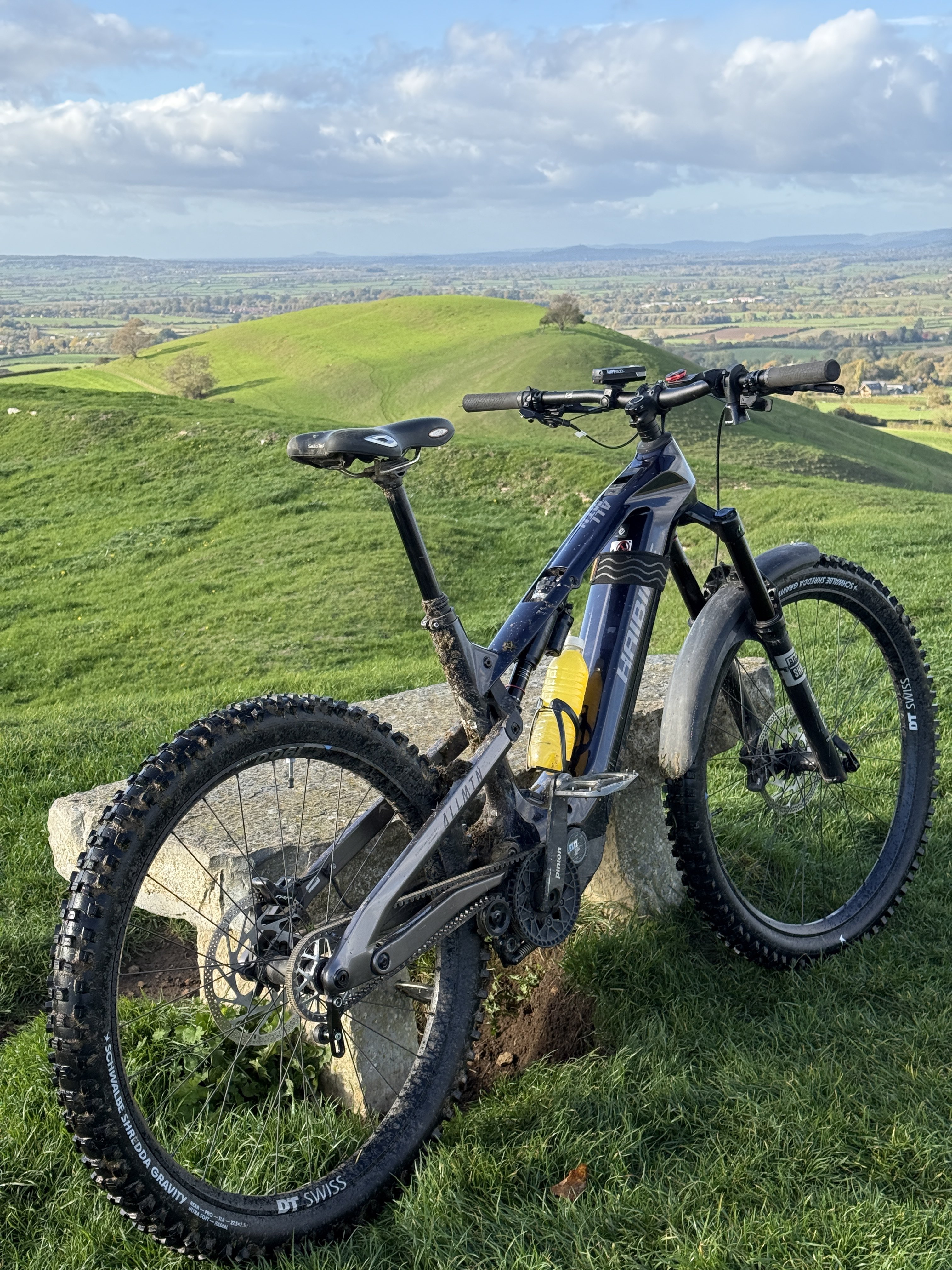 Haibike MTN CF10 Pinion MGU 9.JPG