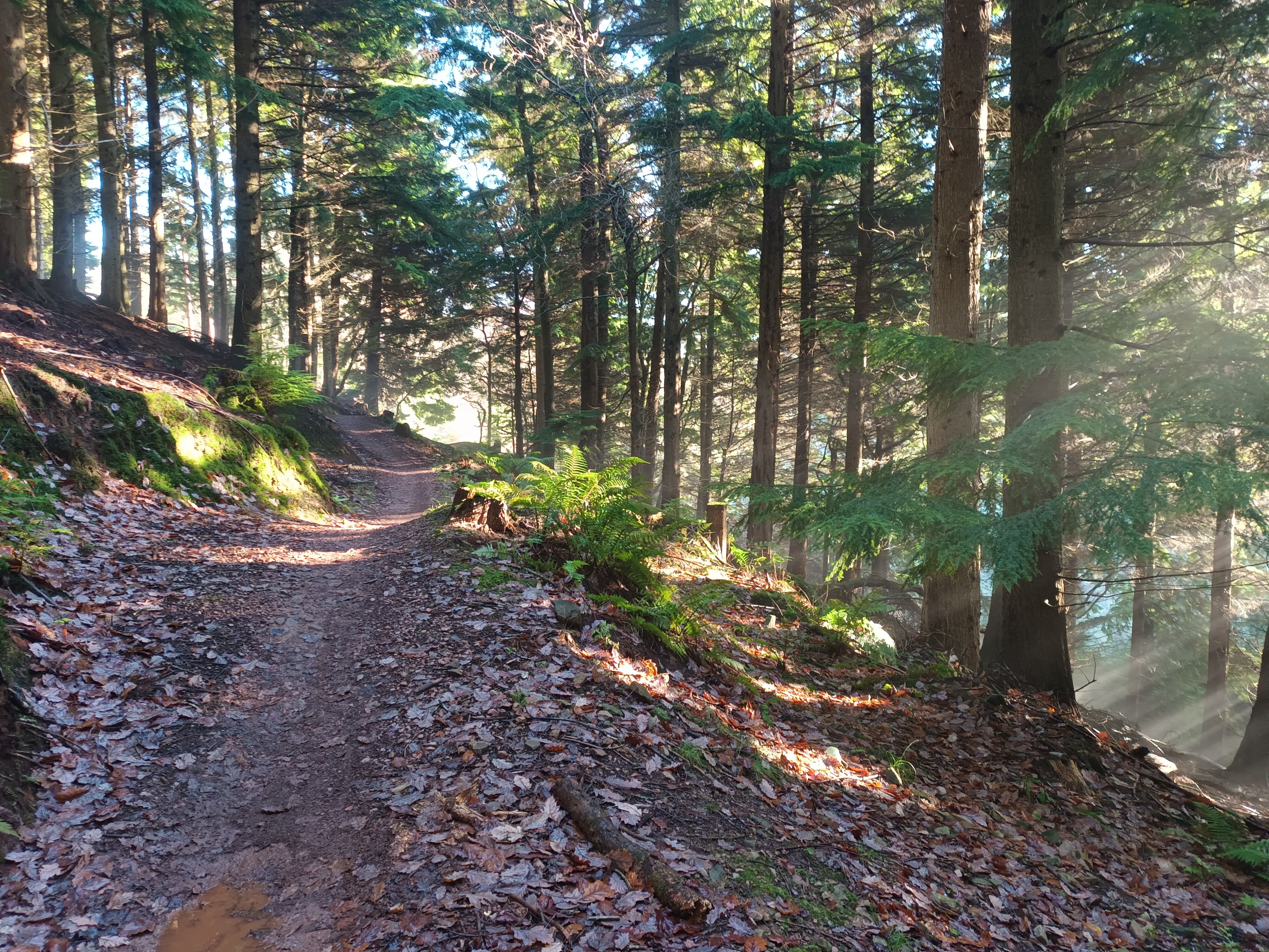 20251203_123848.jpg 20251203_123848.jpg
