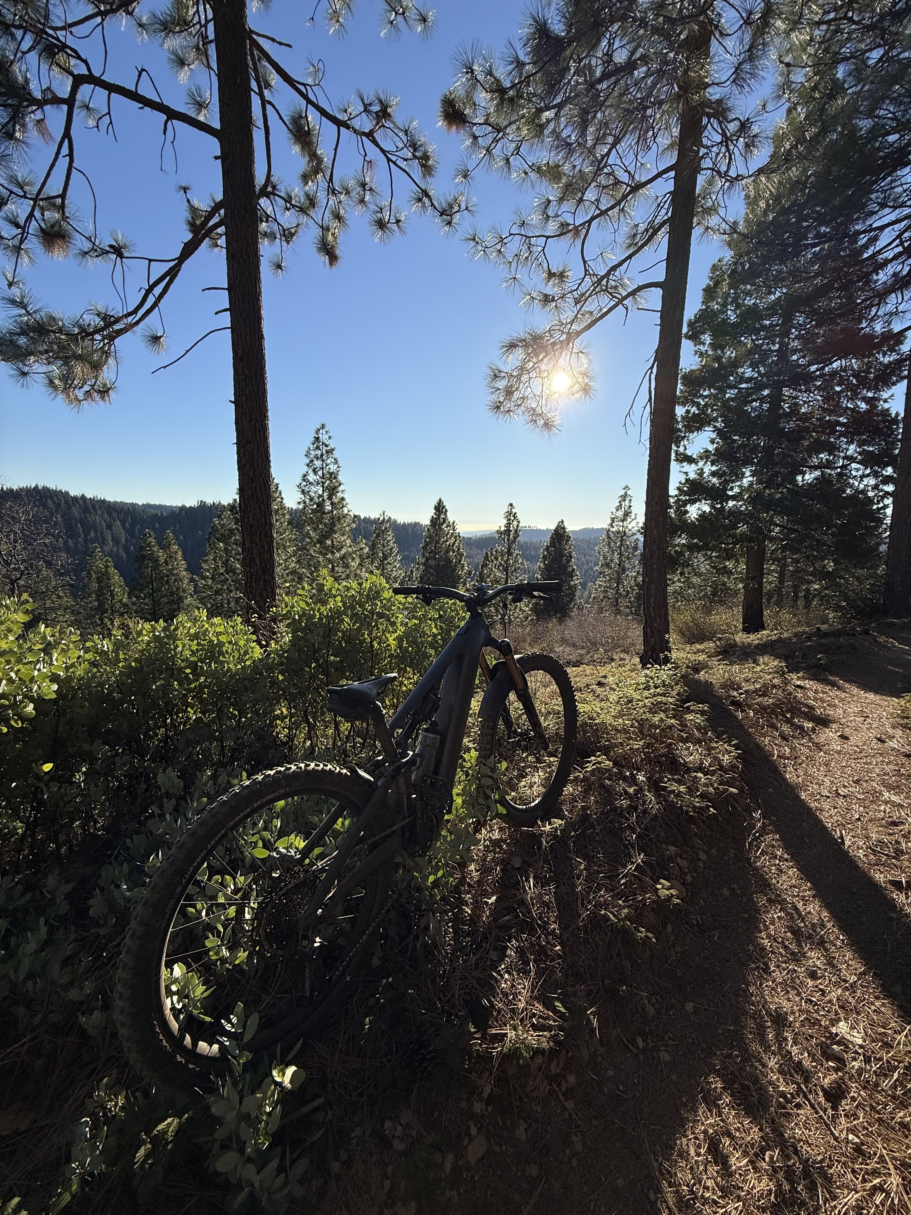 IMG_4715.jpeg