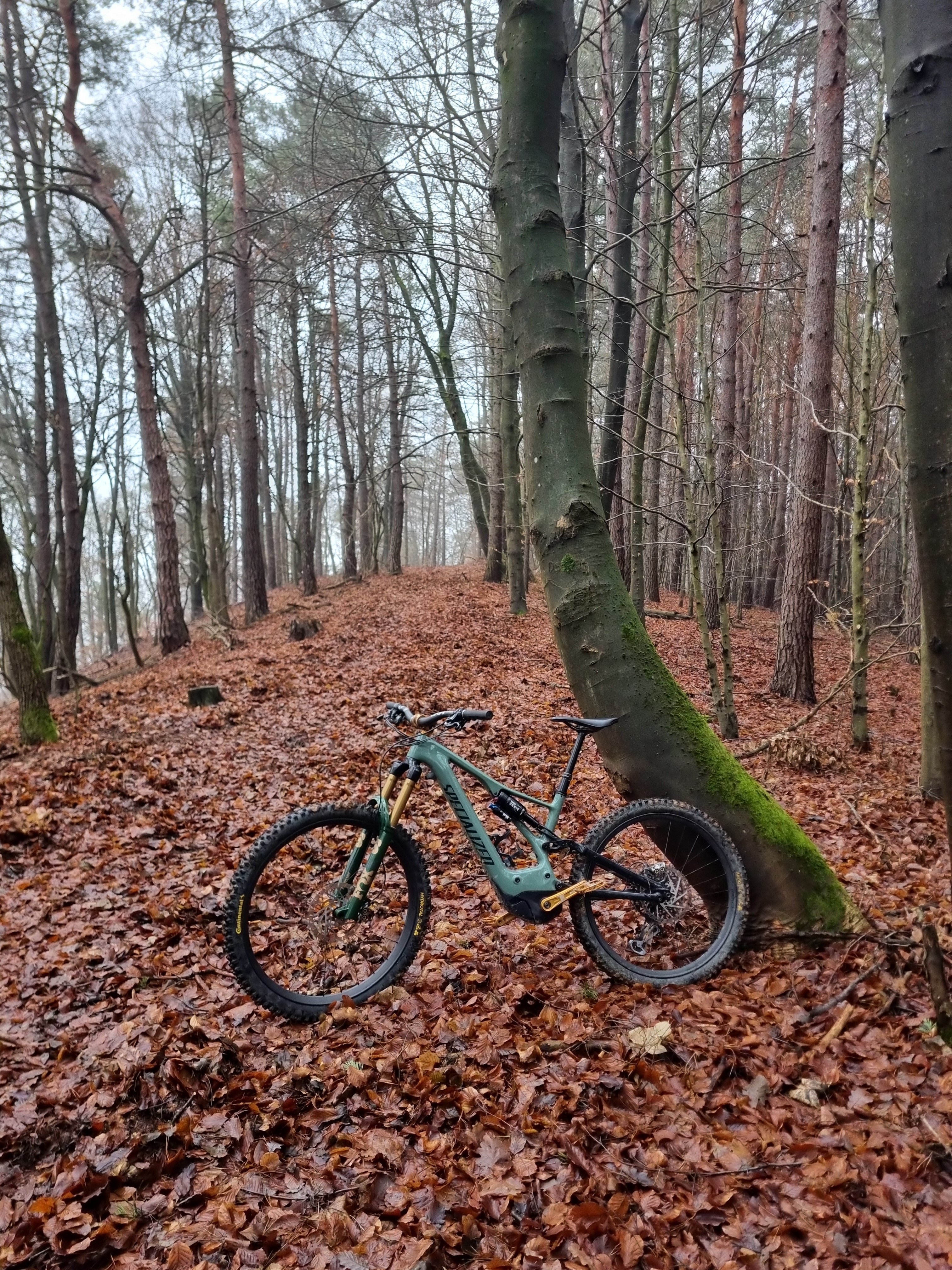 foto.jpg