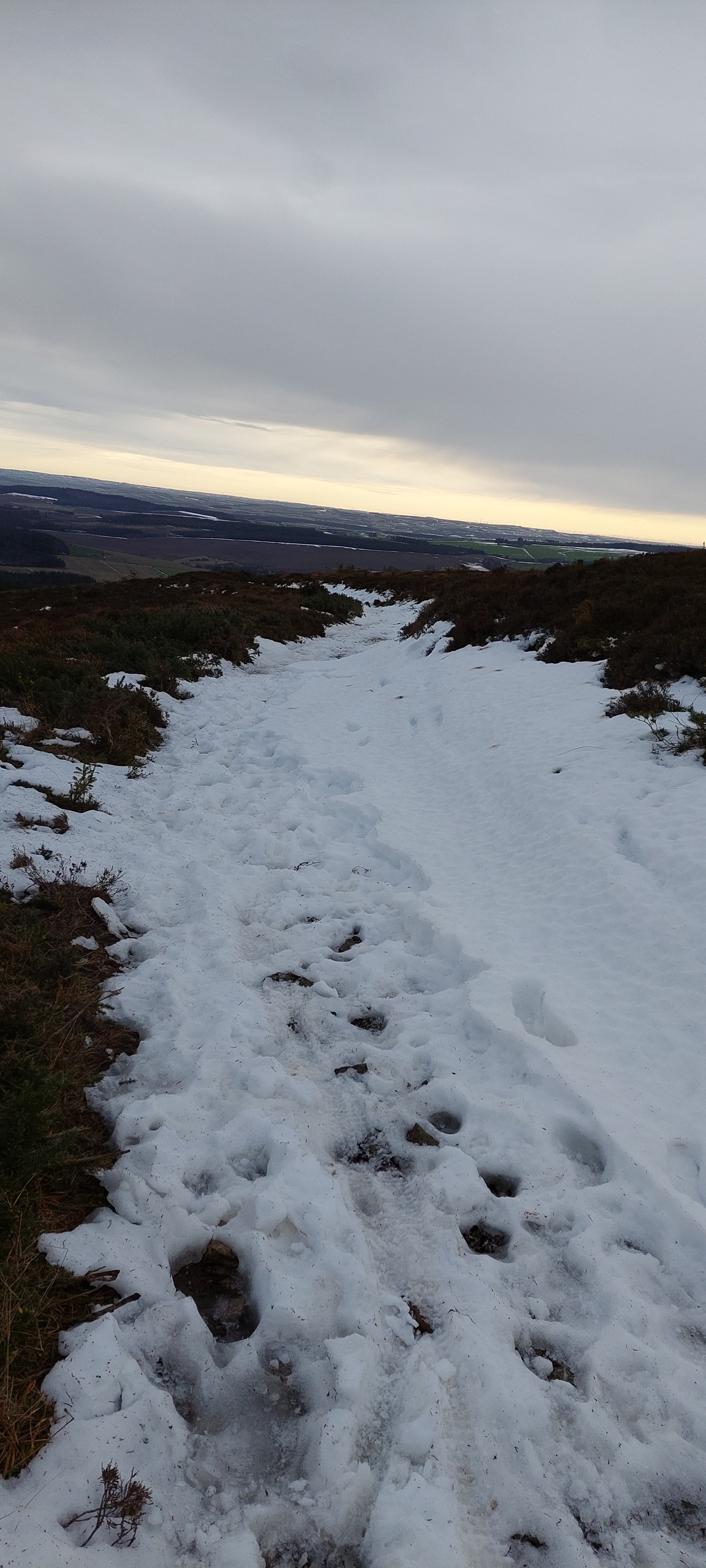 20260114_121648.jpg
