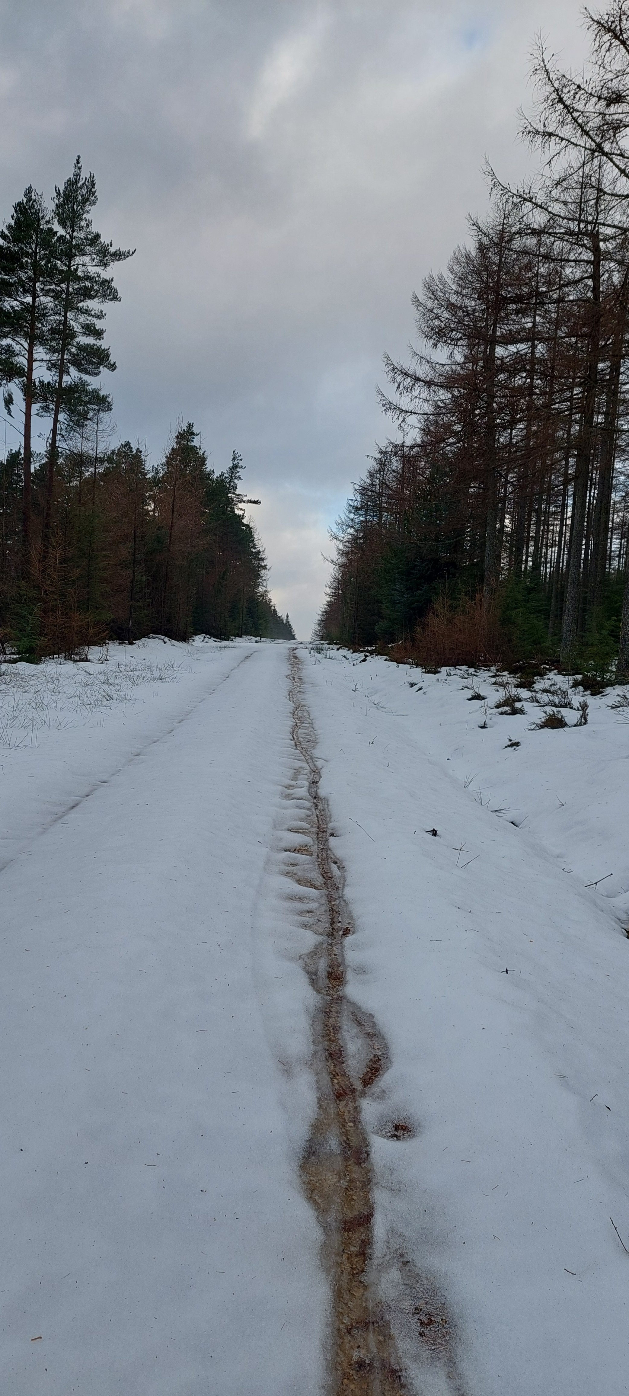20260120_120916.jpg