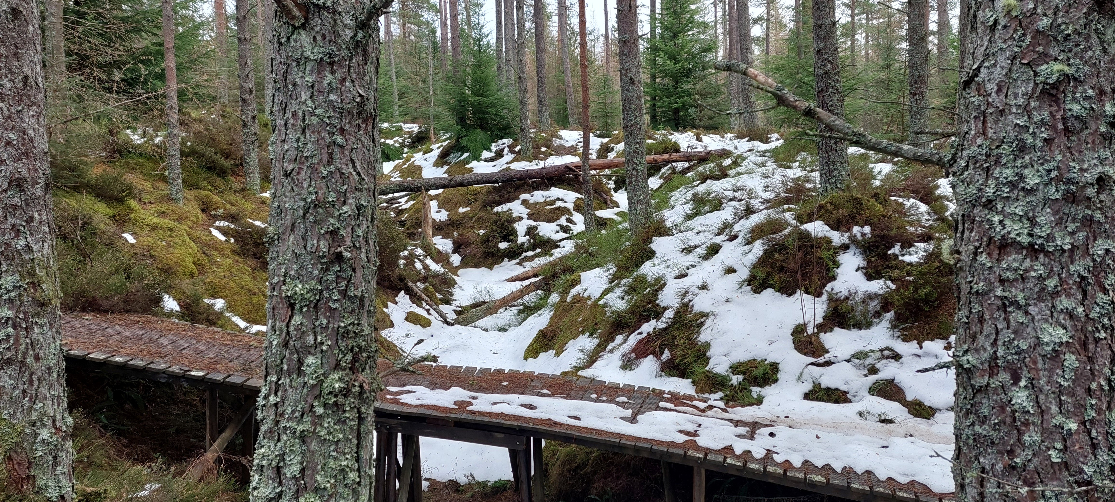 20260120_120501.jpg