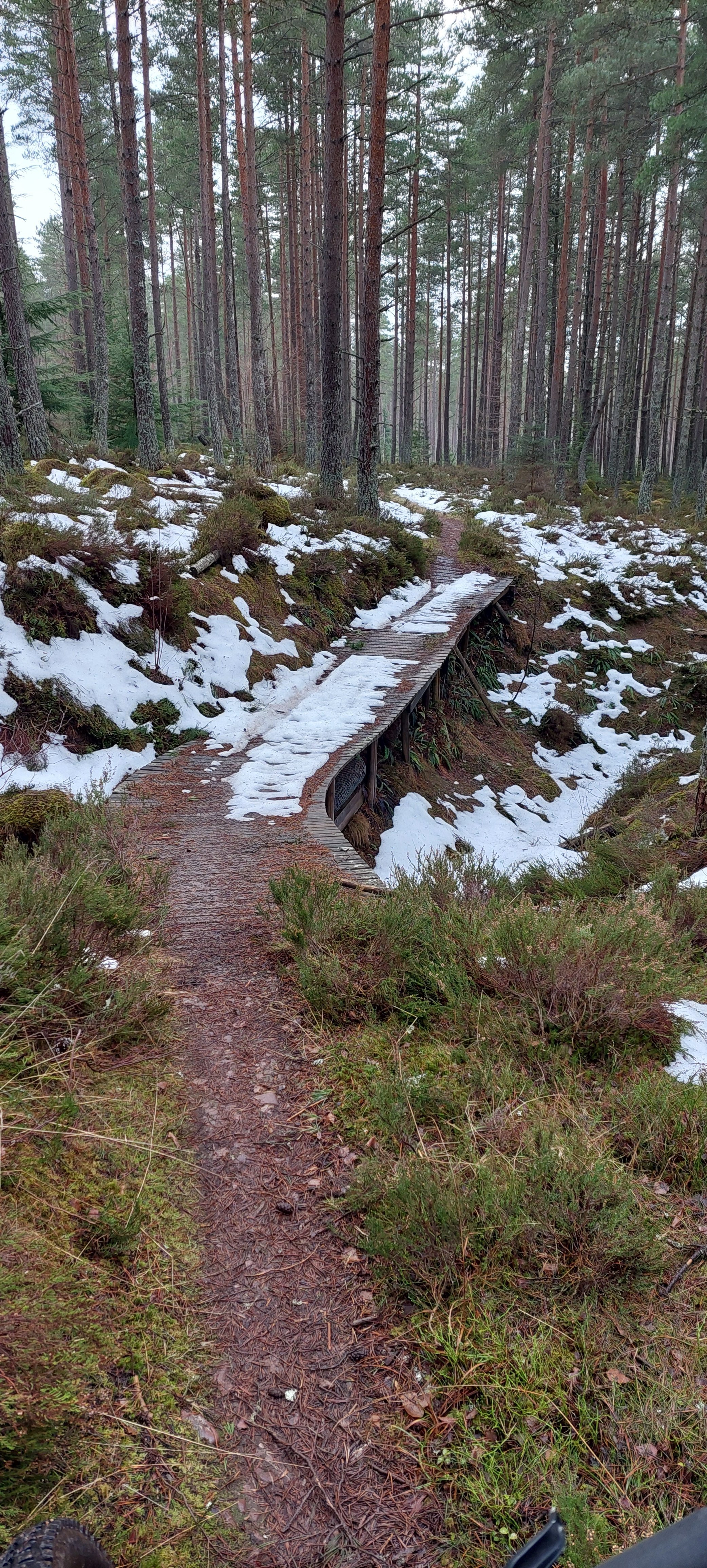 20260120_120403.jpg