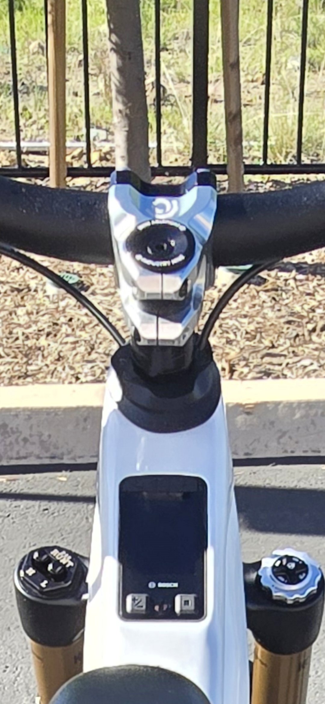 Screenshot_20260127_111958_Gallery.jpg
