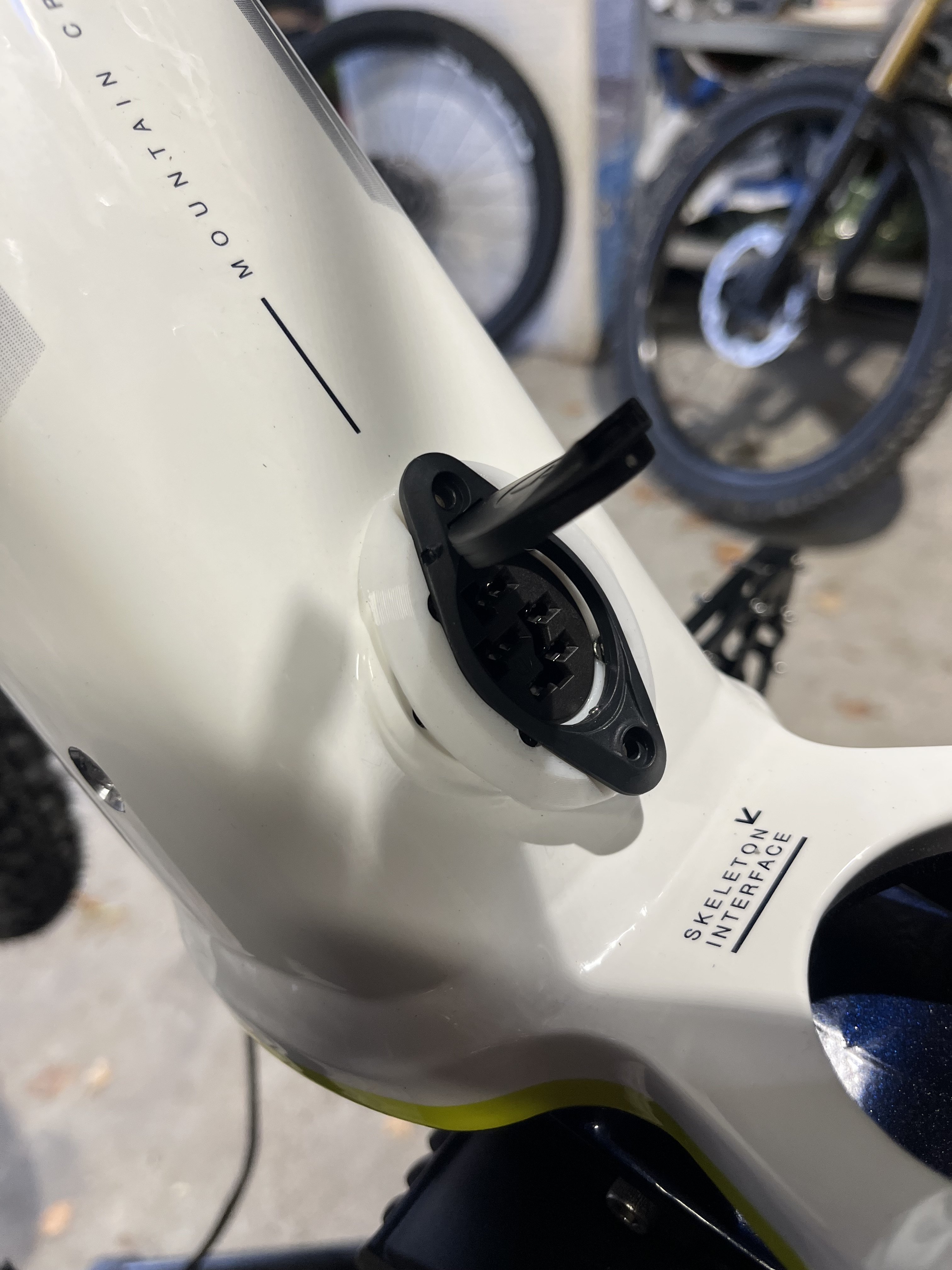 IMG_3192.jpeg
