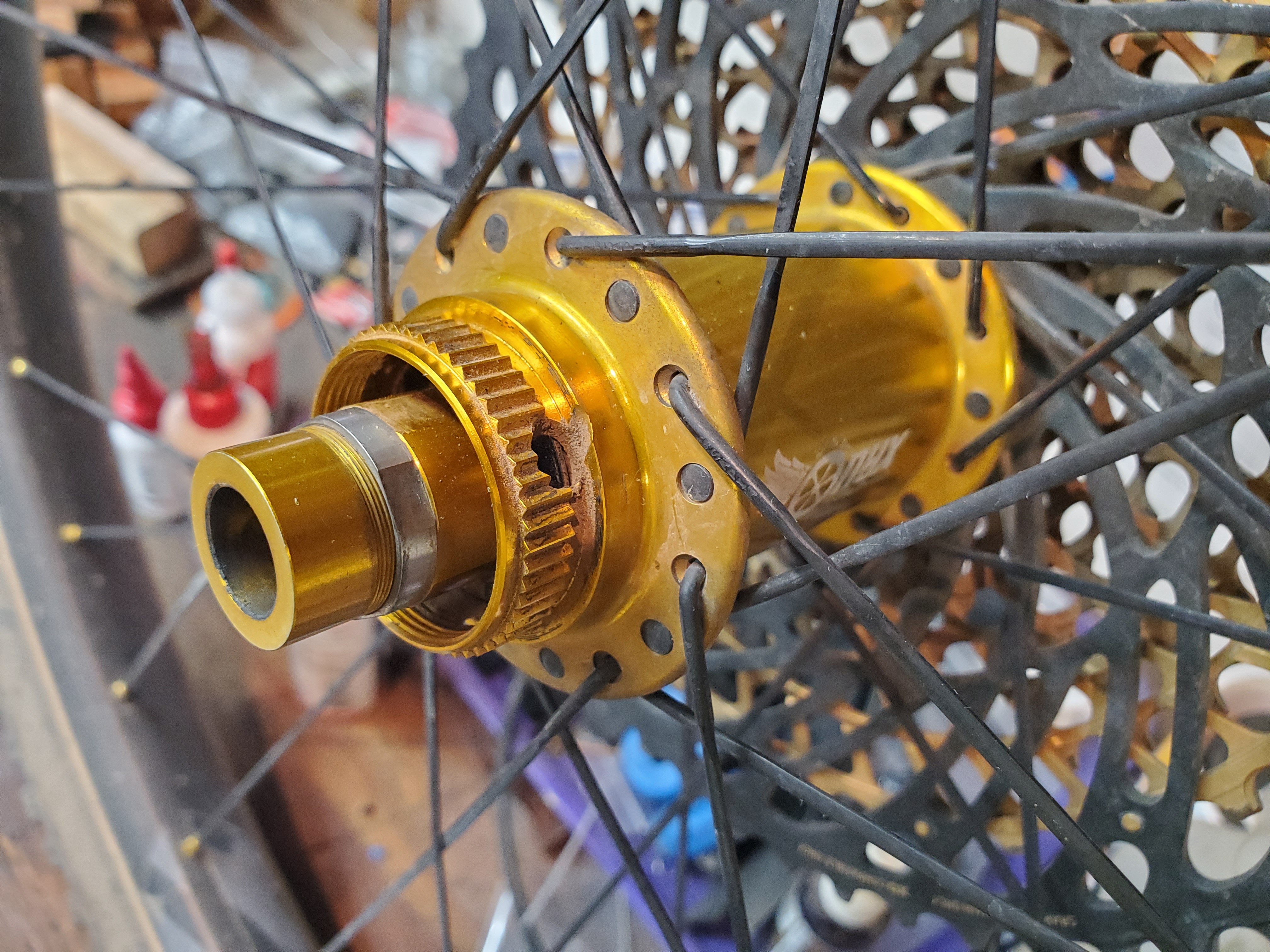 RearClassicHub.jpg