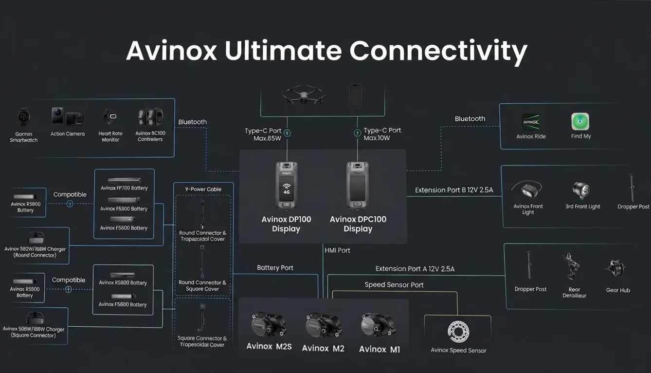 Avinox Ultimate Connectivity Chart.webp