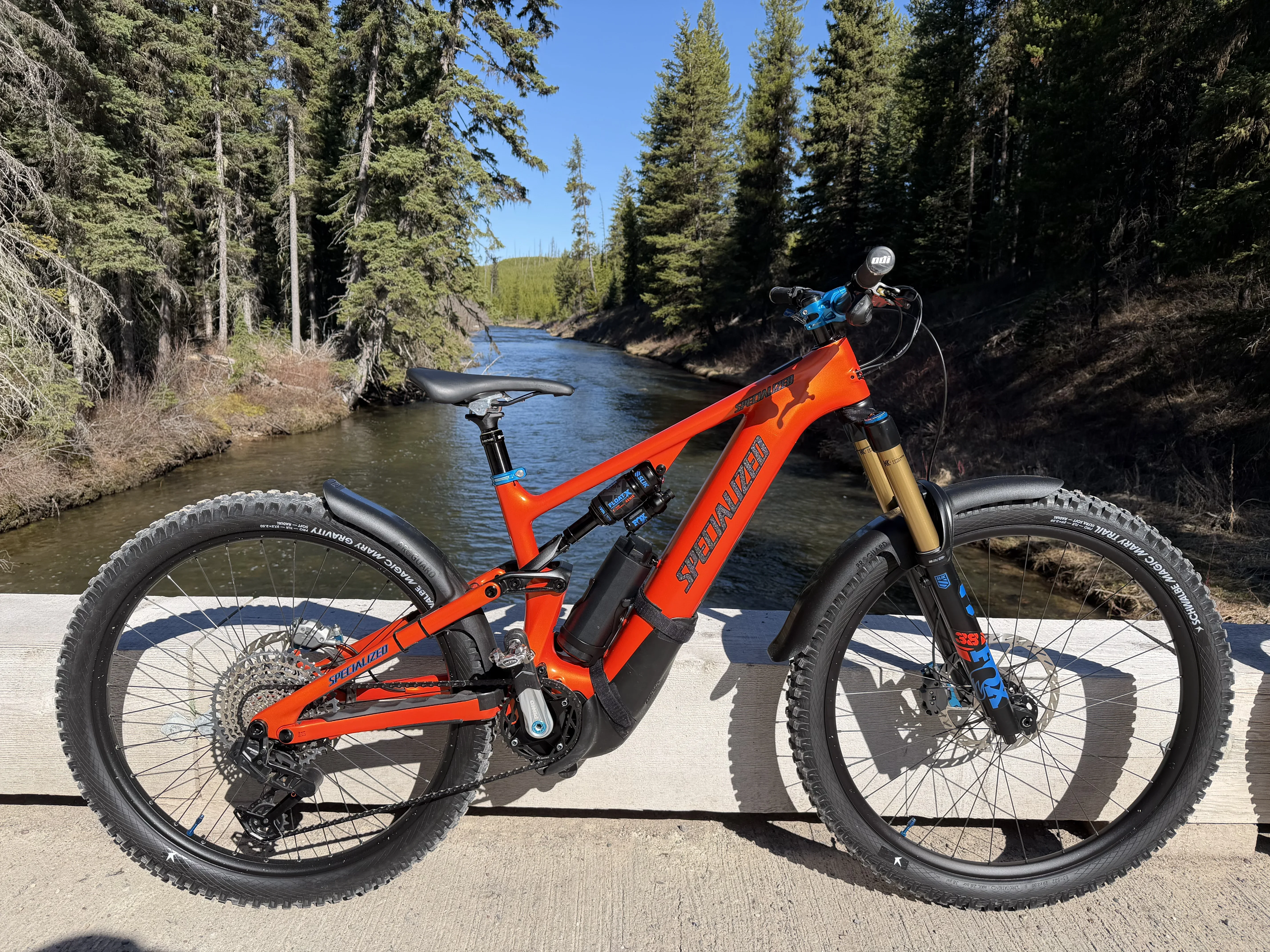 IMG_6350.webp