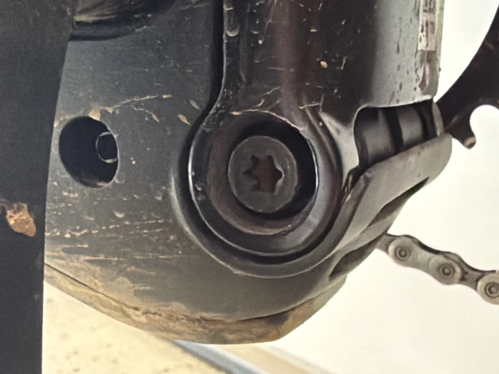 image1.webp