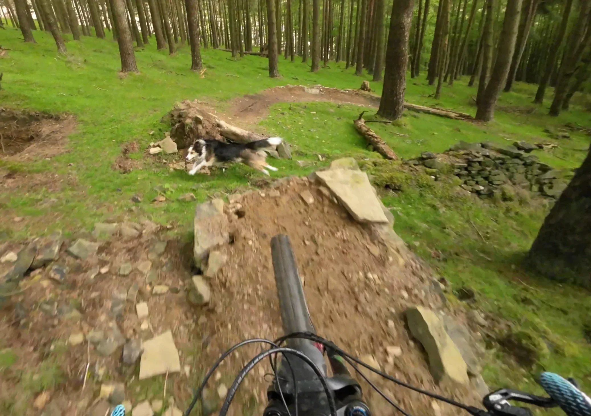 Rocksy between jump.webp