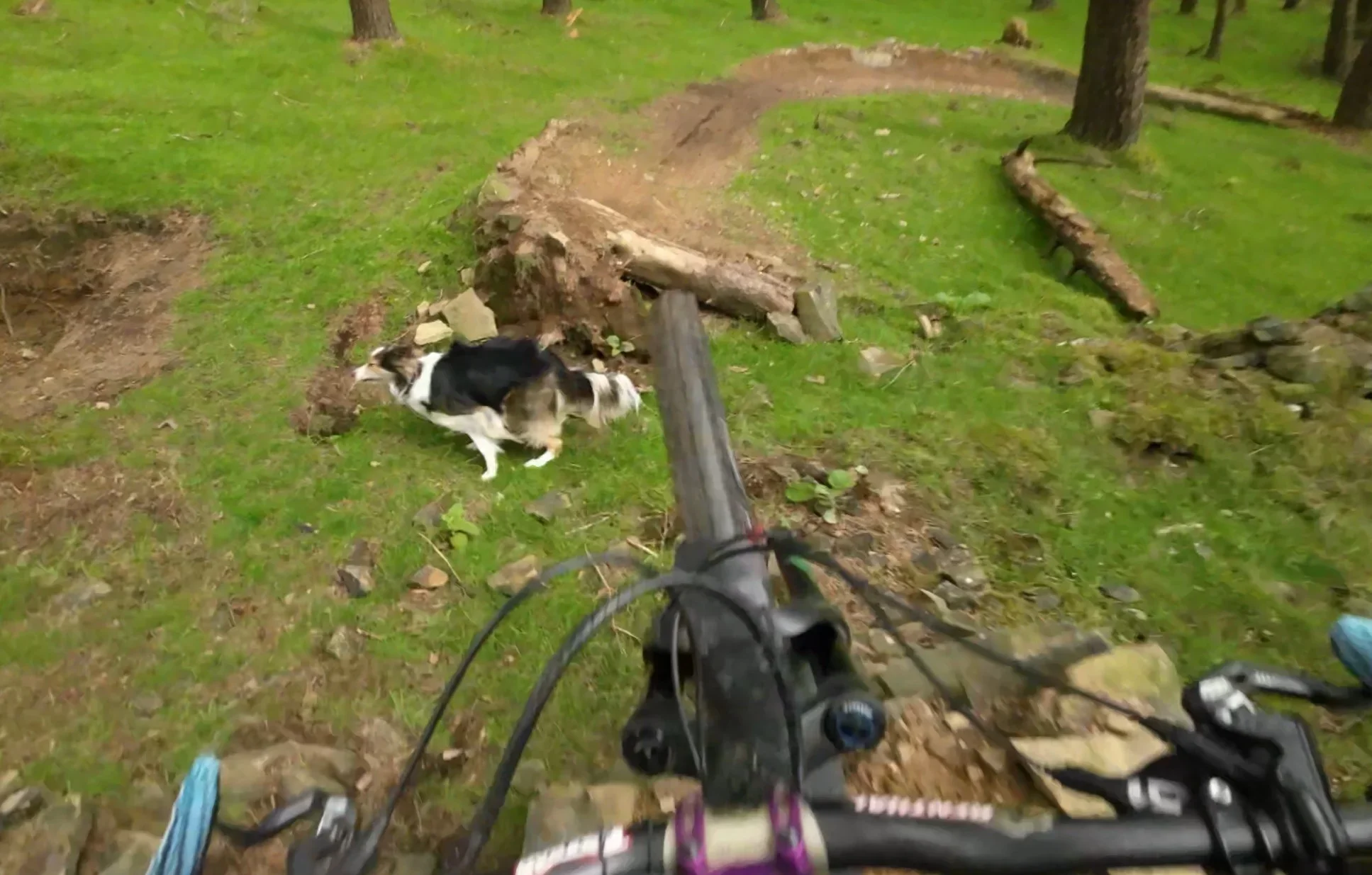 Rocksy between jump 2.webp