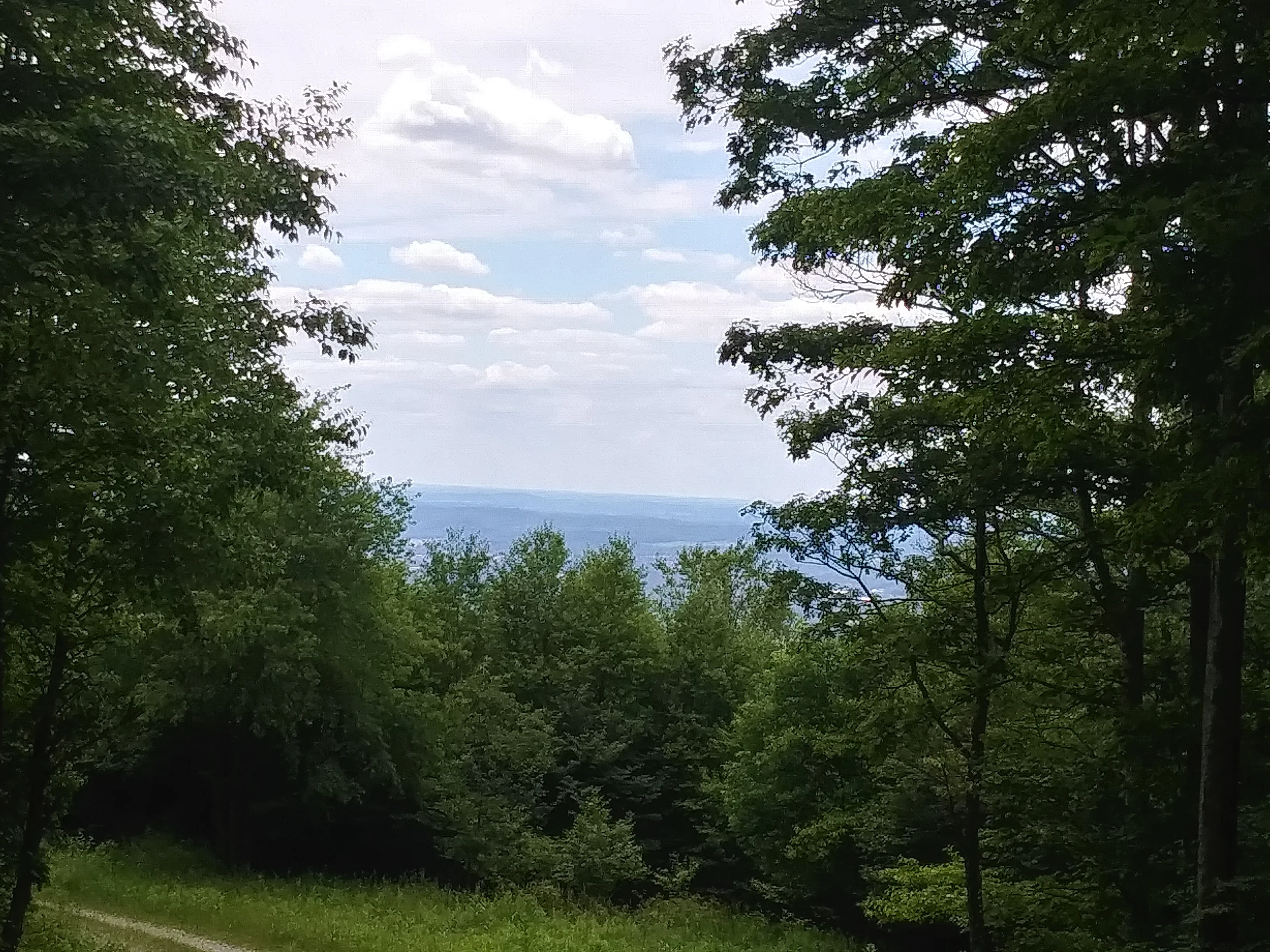 20260616_142820_HDR.webp
