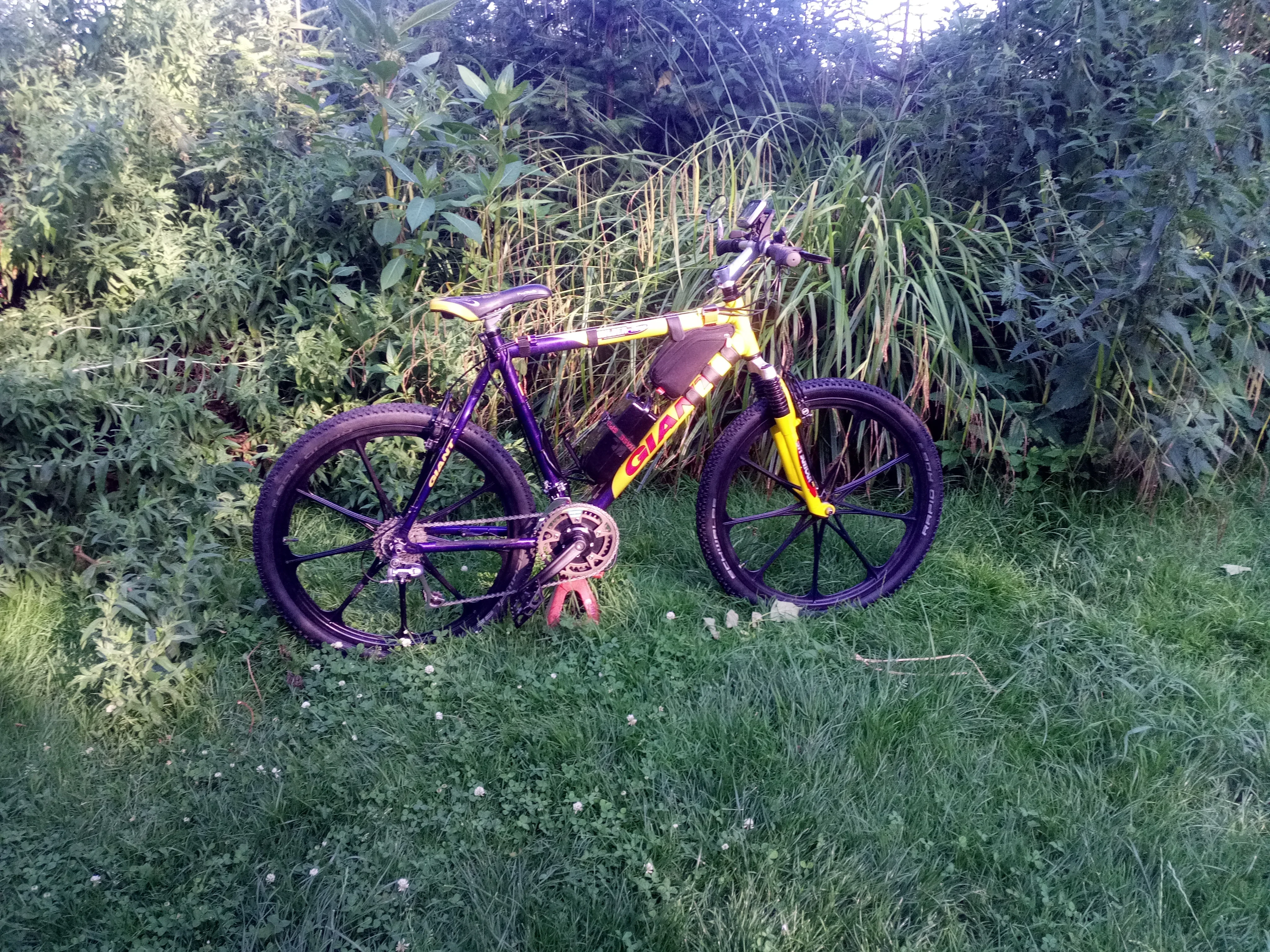 IMG_20260629_190945_5.webp