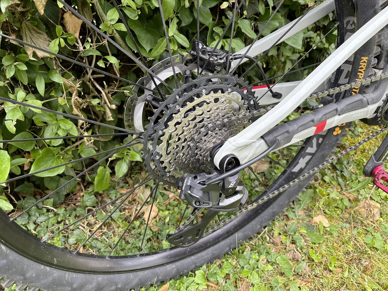 DI2_M8200_eightpins_1.webp