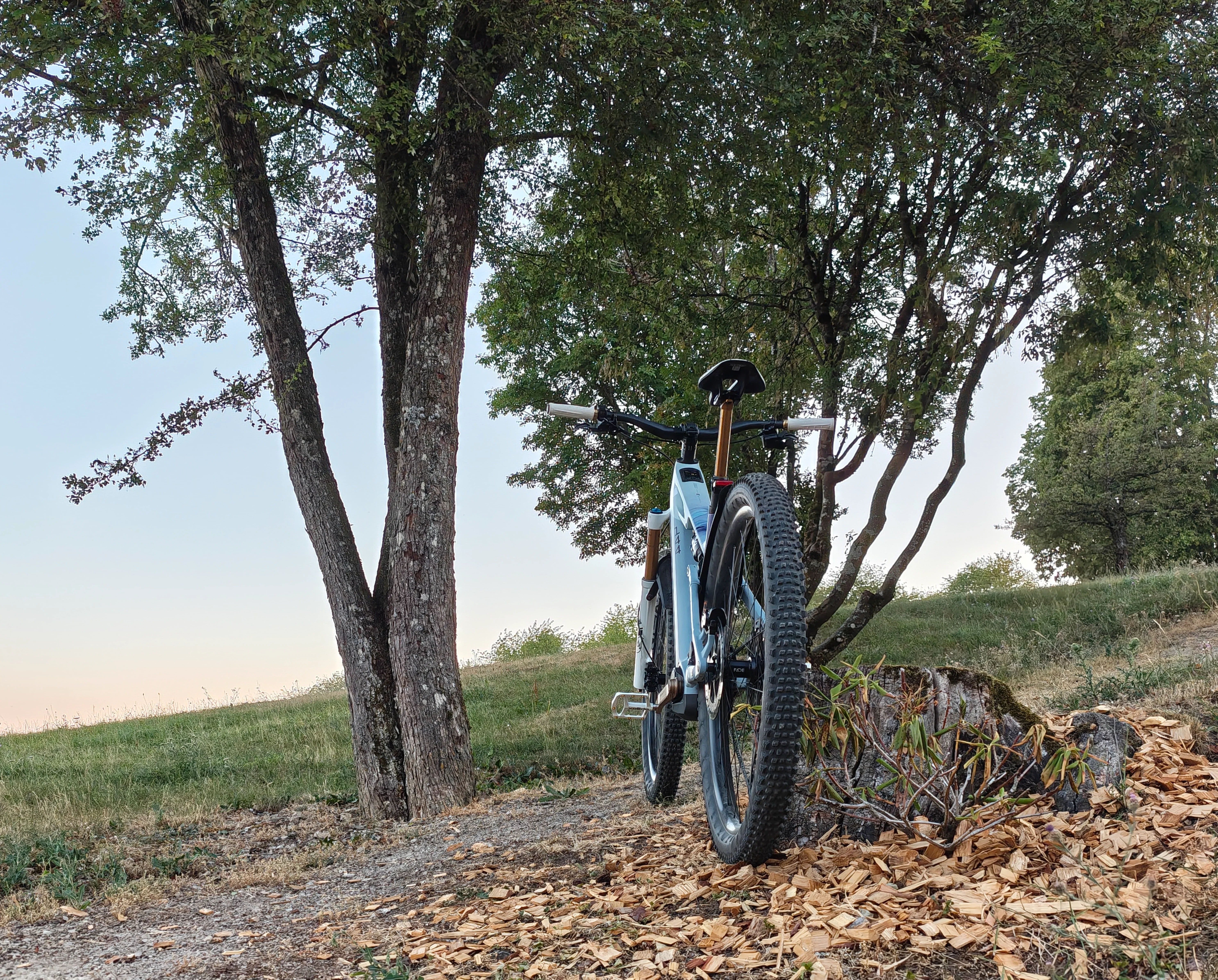 IMG_20260711_212625925_HDR~3.webp
