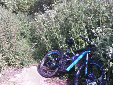 Quiet  overgrown Suffolk Bridleway.jpg