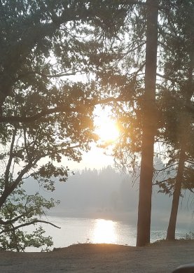 20200917_153628.jpg
