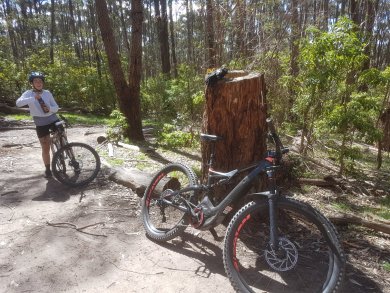 20180917_112731.jpg